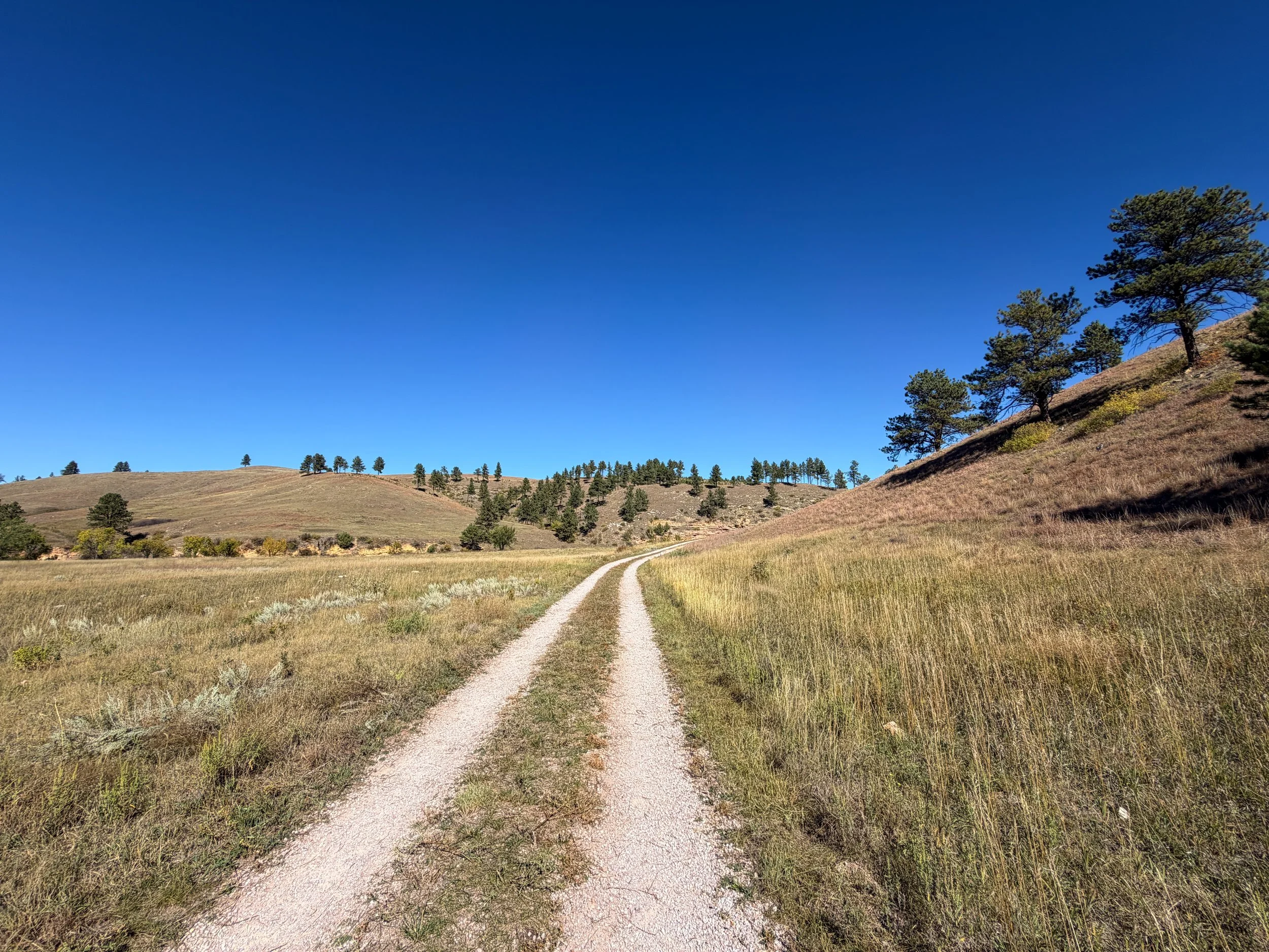 Wind Cave Canyon Trail Wind Cave National Park South Dakota