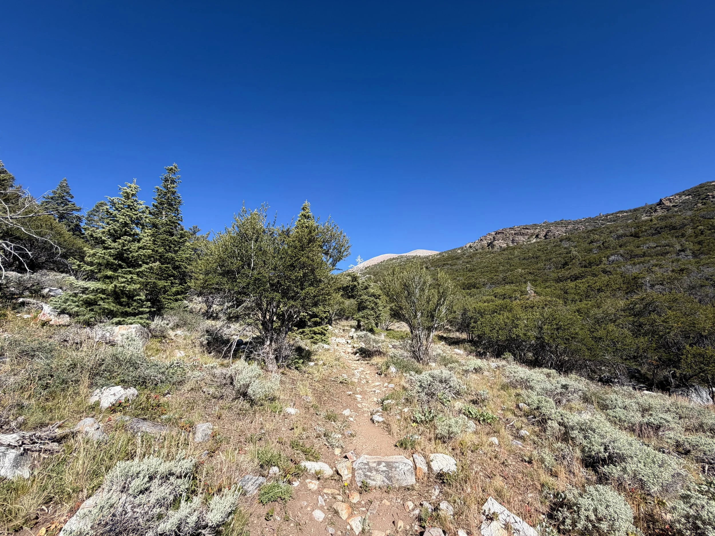 Baker Lake Hike Great Basin National Park Nevada