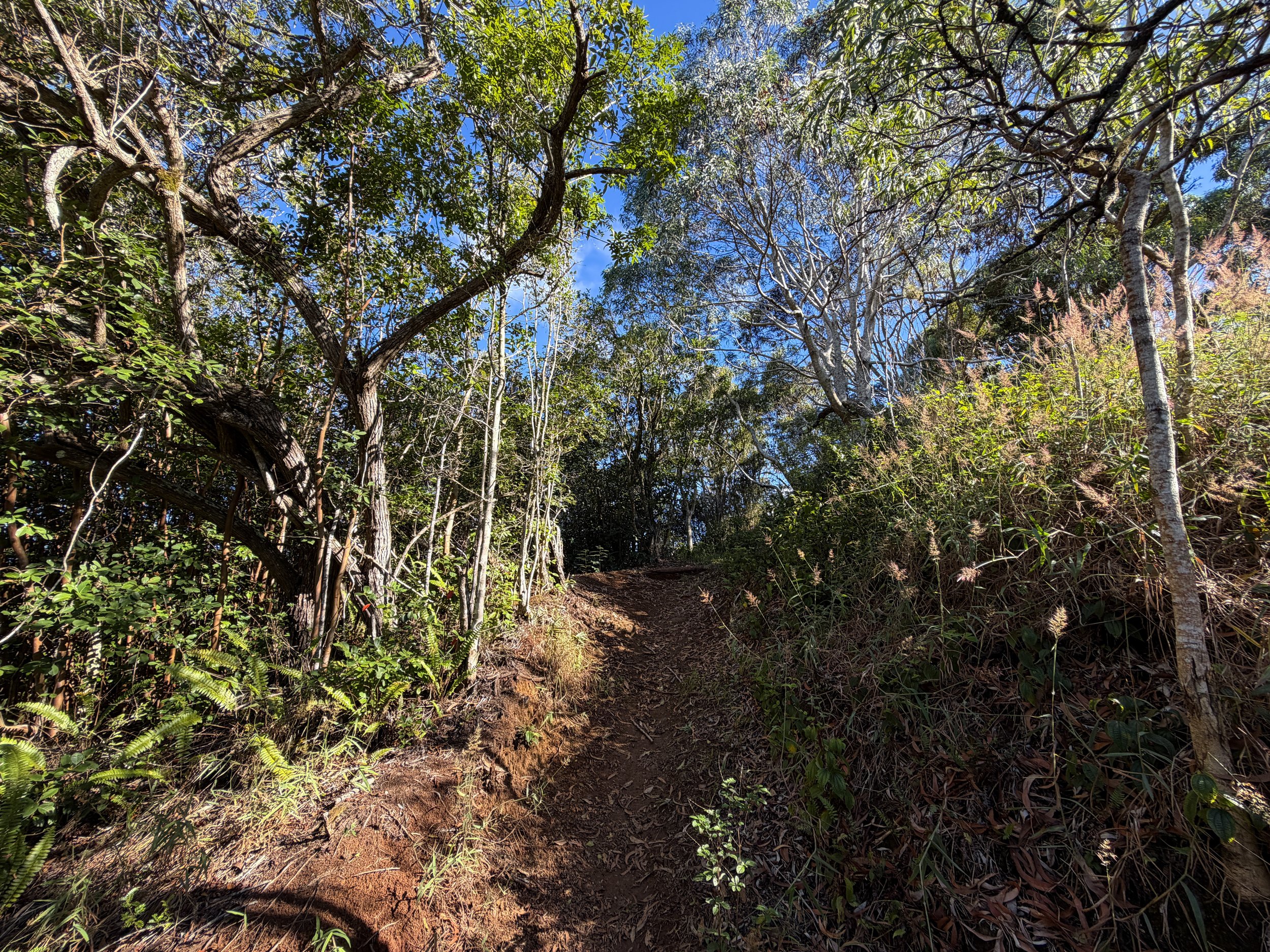 Mokuleia Hike Oahu Hawaii