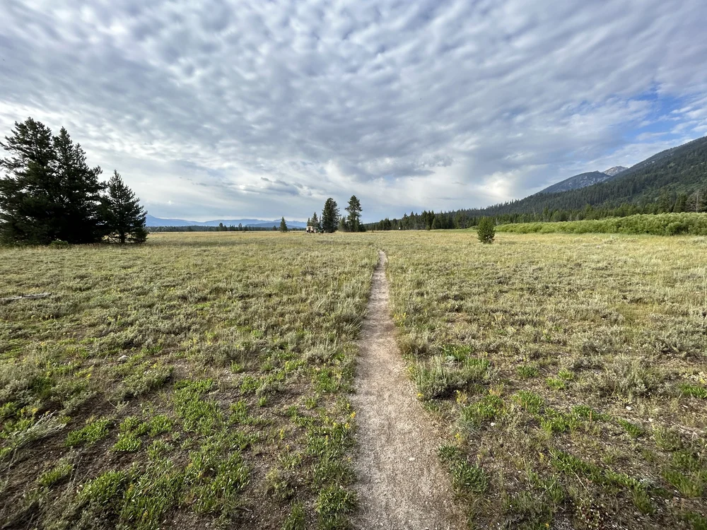 Hiking the Moose Ponds Loop Trail in Grand Teton National Park — noahawaii