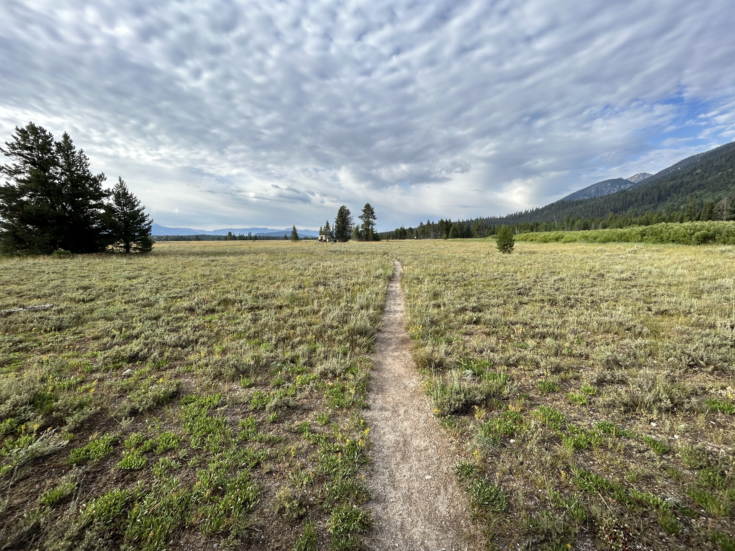 Hiking the Moose Ponds Loop Trail in Grand Teton National Park — noahawaii