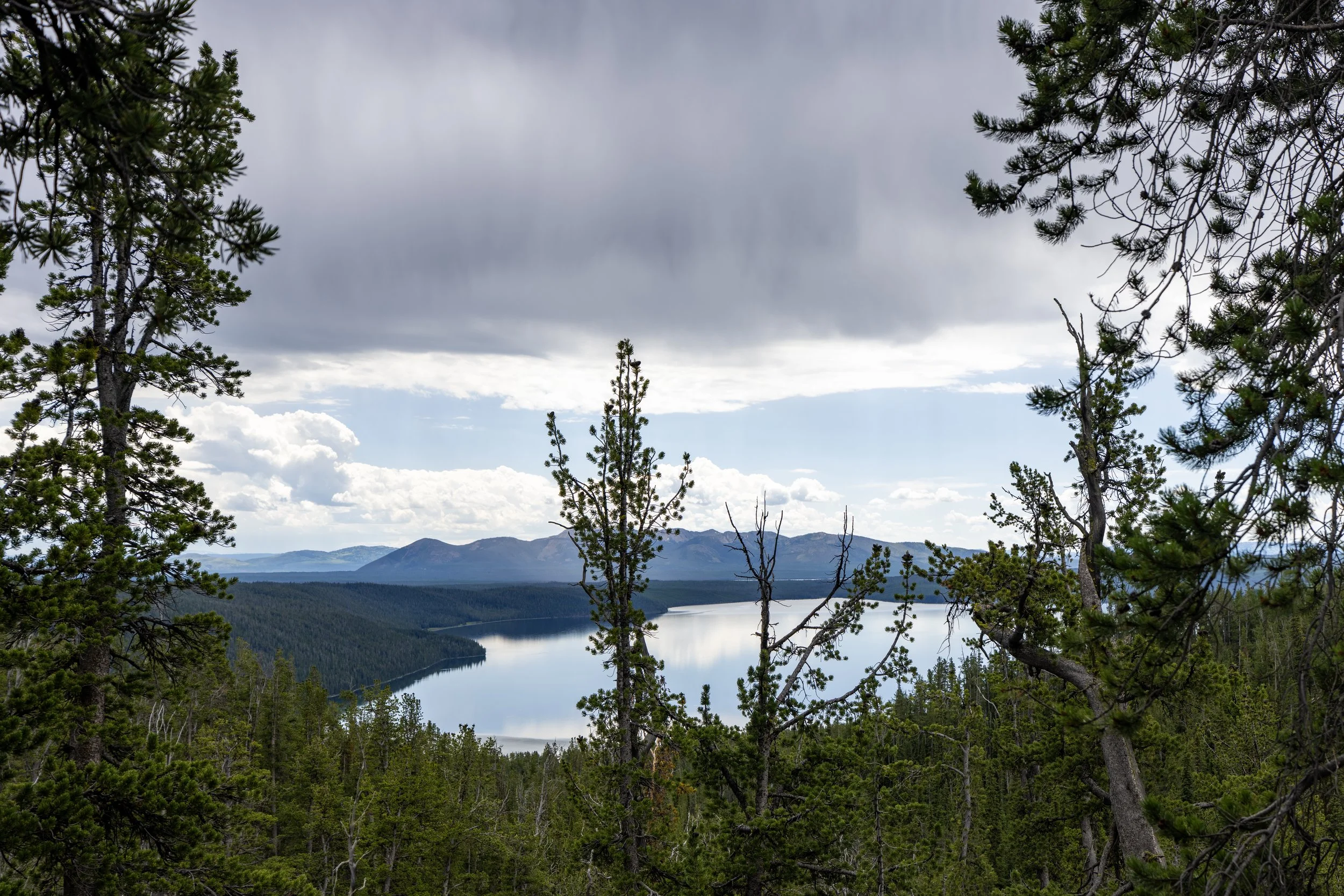 Divide Trail Yellowstone National Park Wyoming