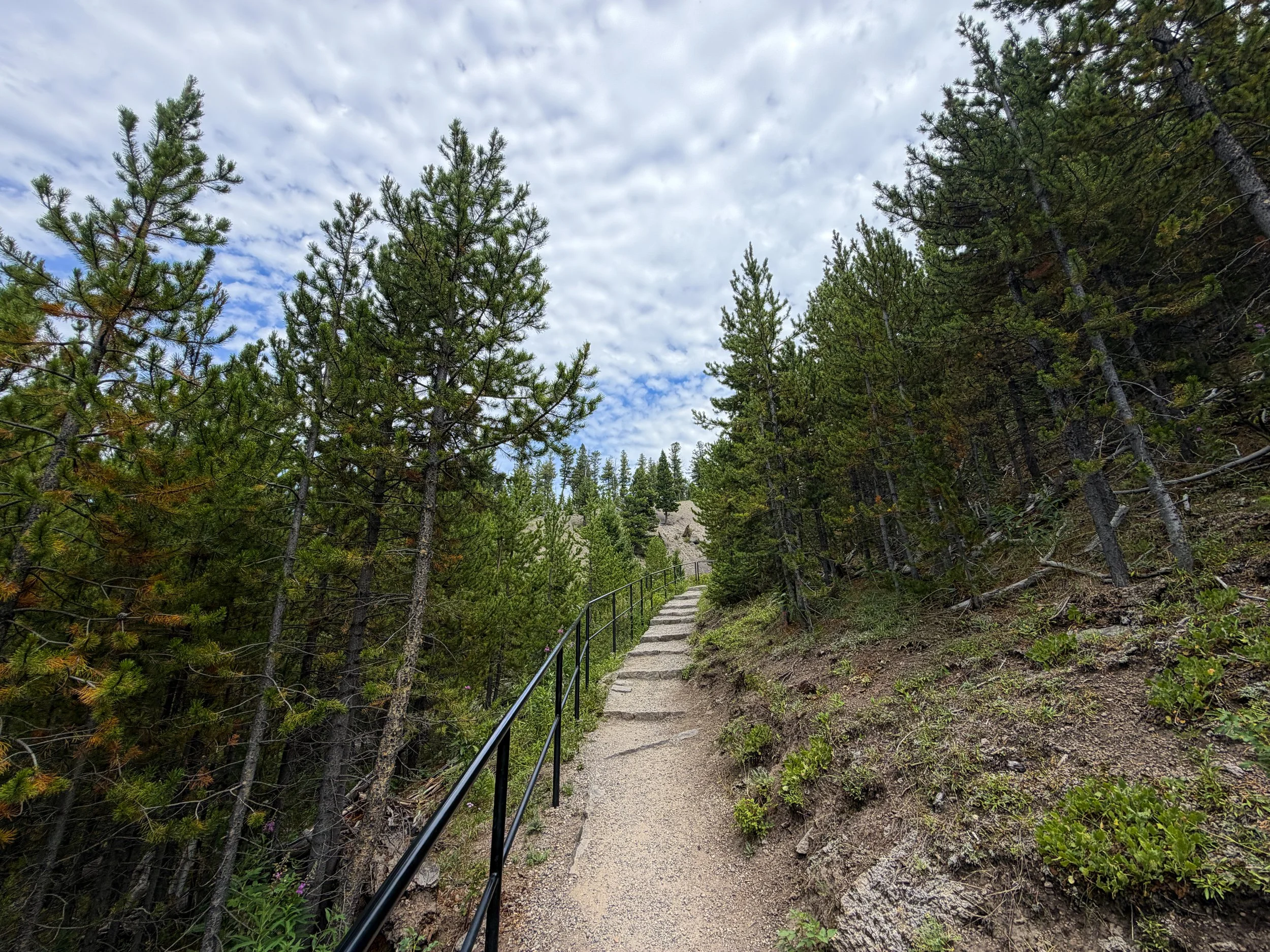 Wraith Falls Trail Yellowstone National Park Wyoming