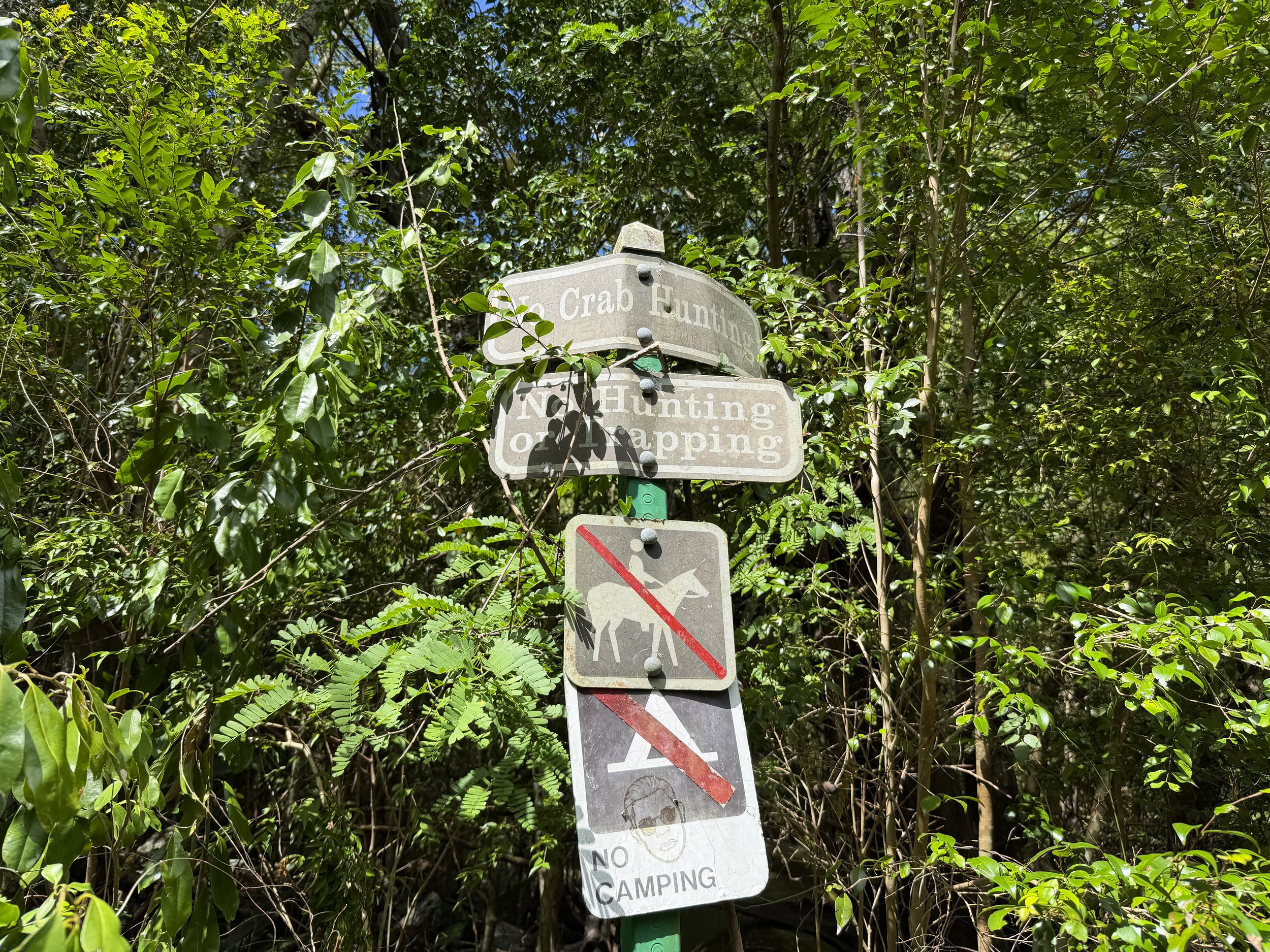 Johnny Horn Trail Virgin Islands National Park