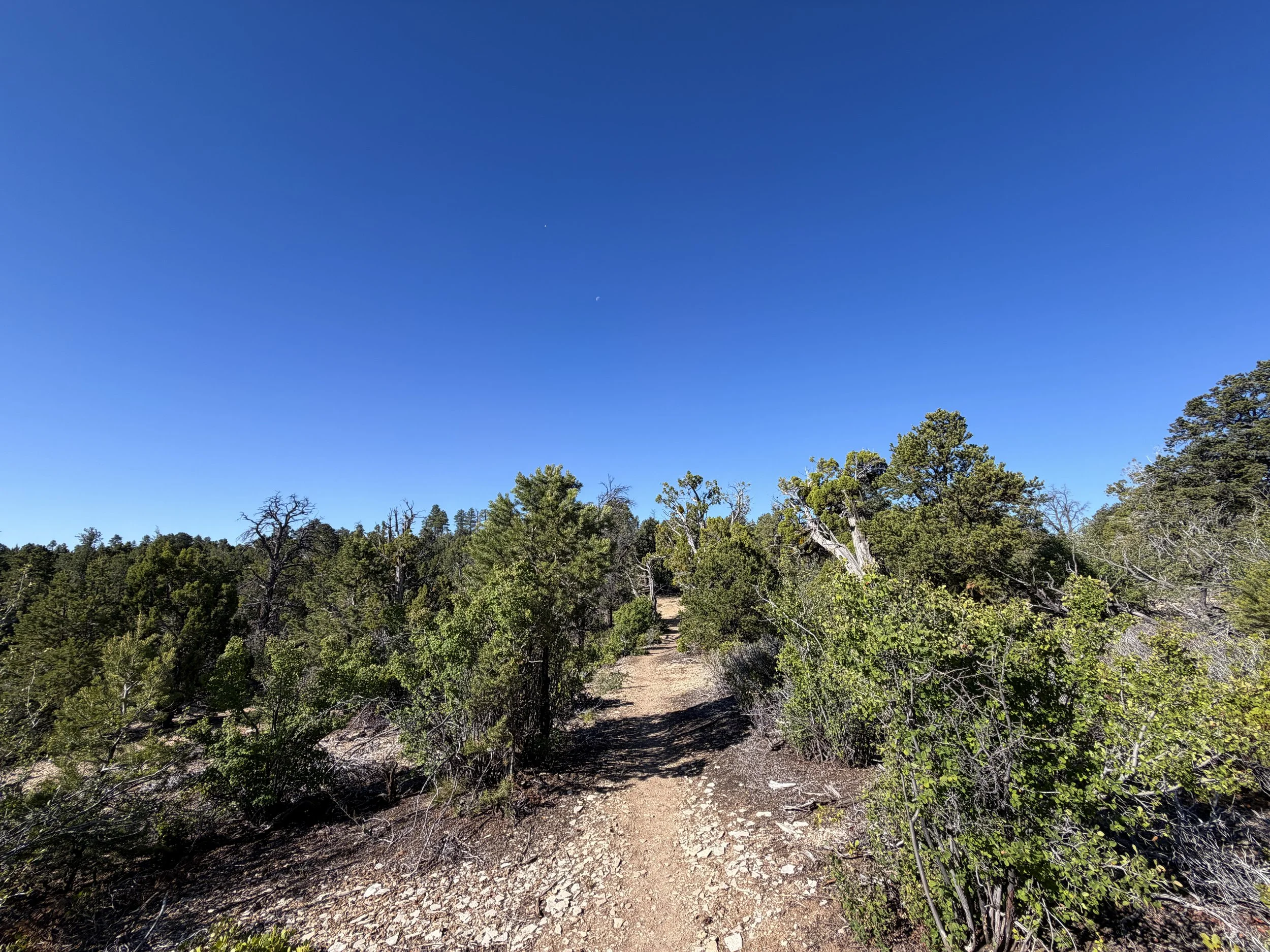 Deertrap Mountain Trail Zion National Park Utah