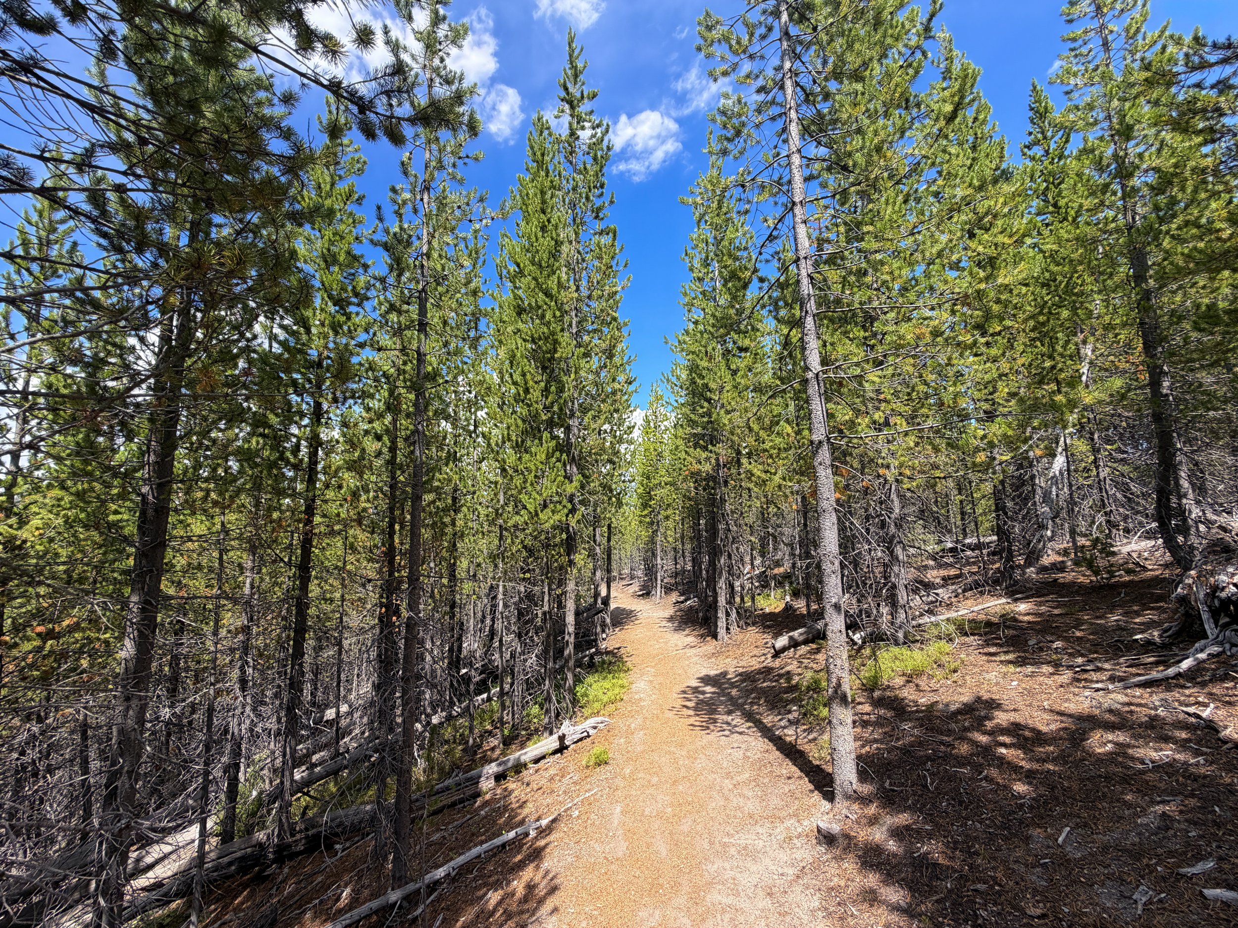 Duck Lake Hike Yellowstone National Park Wyoming
