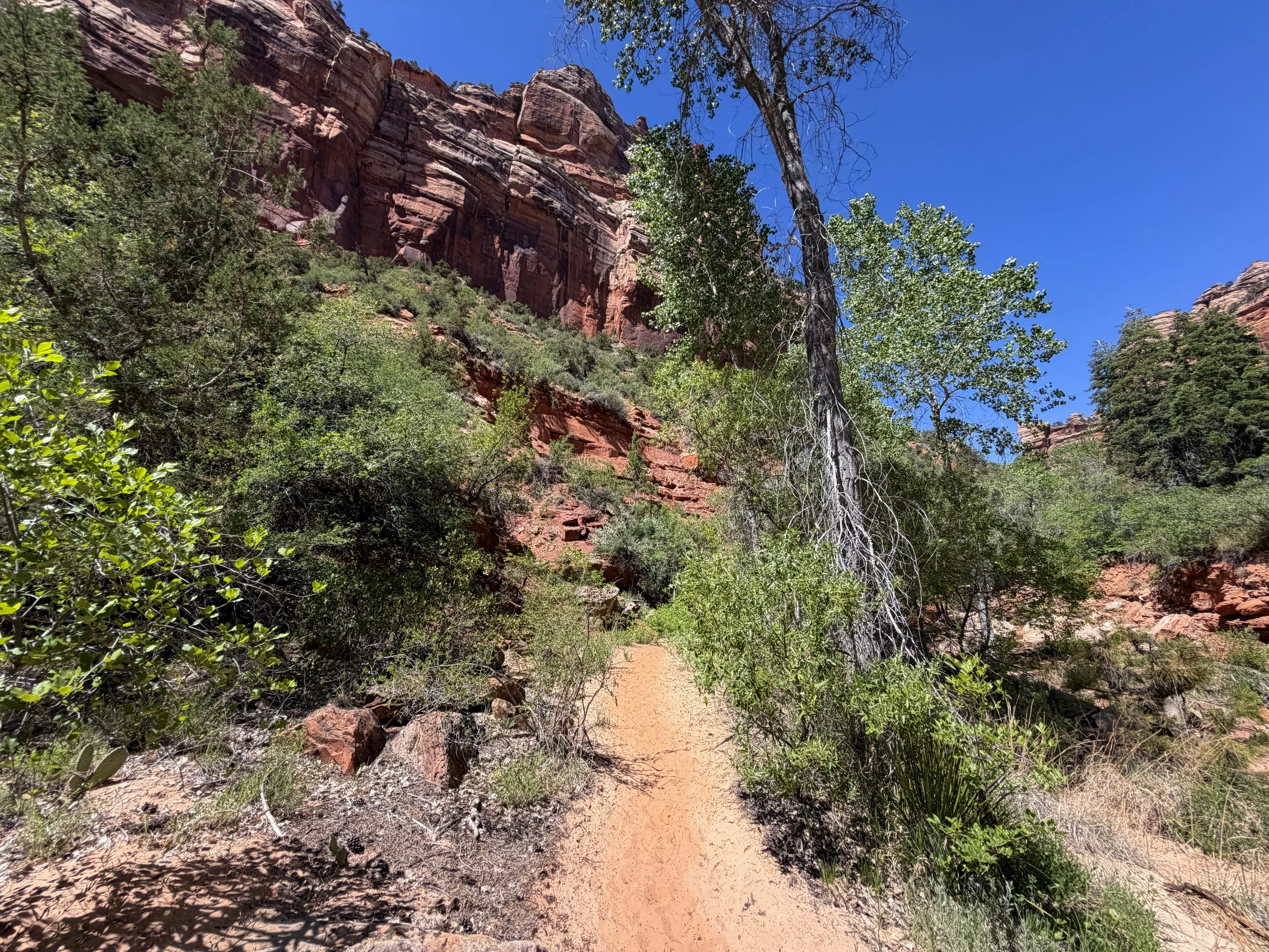 Subway Trail Zion National Park Utah