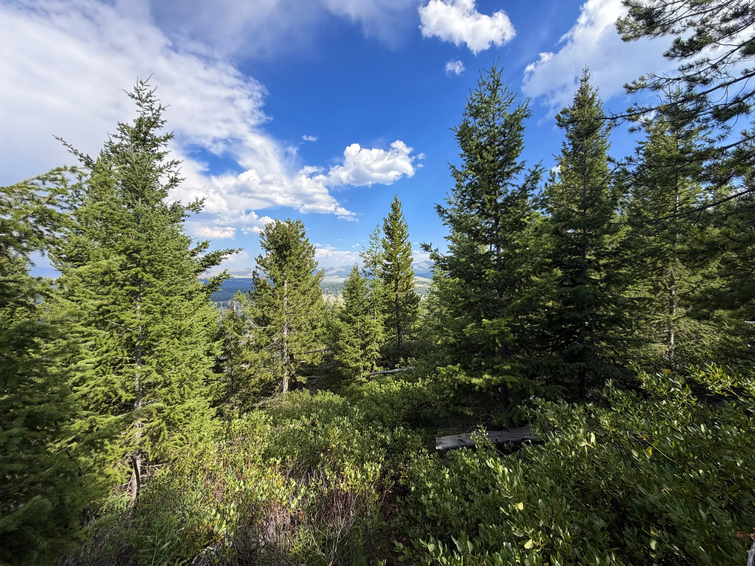 Bunsen Peak Hike Yellowstone National Park Wyoming