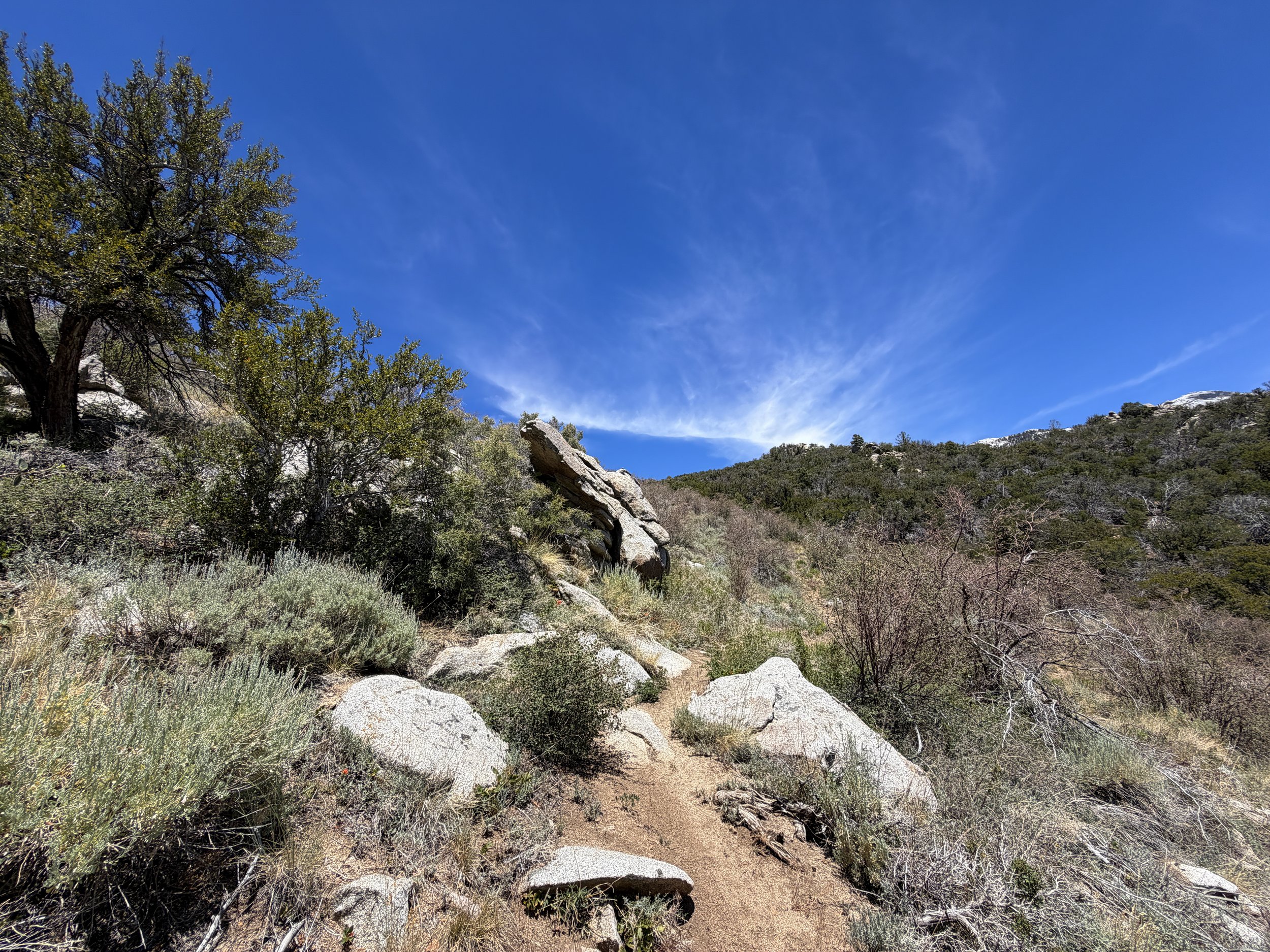 Serviceberry Trail Great Basin National Park Nevada