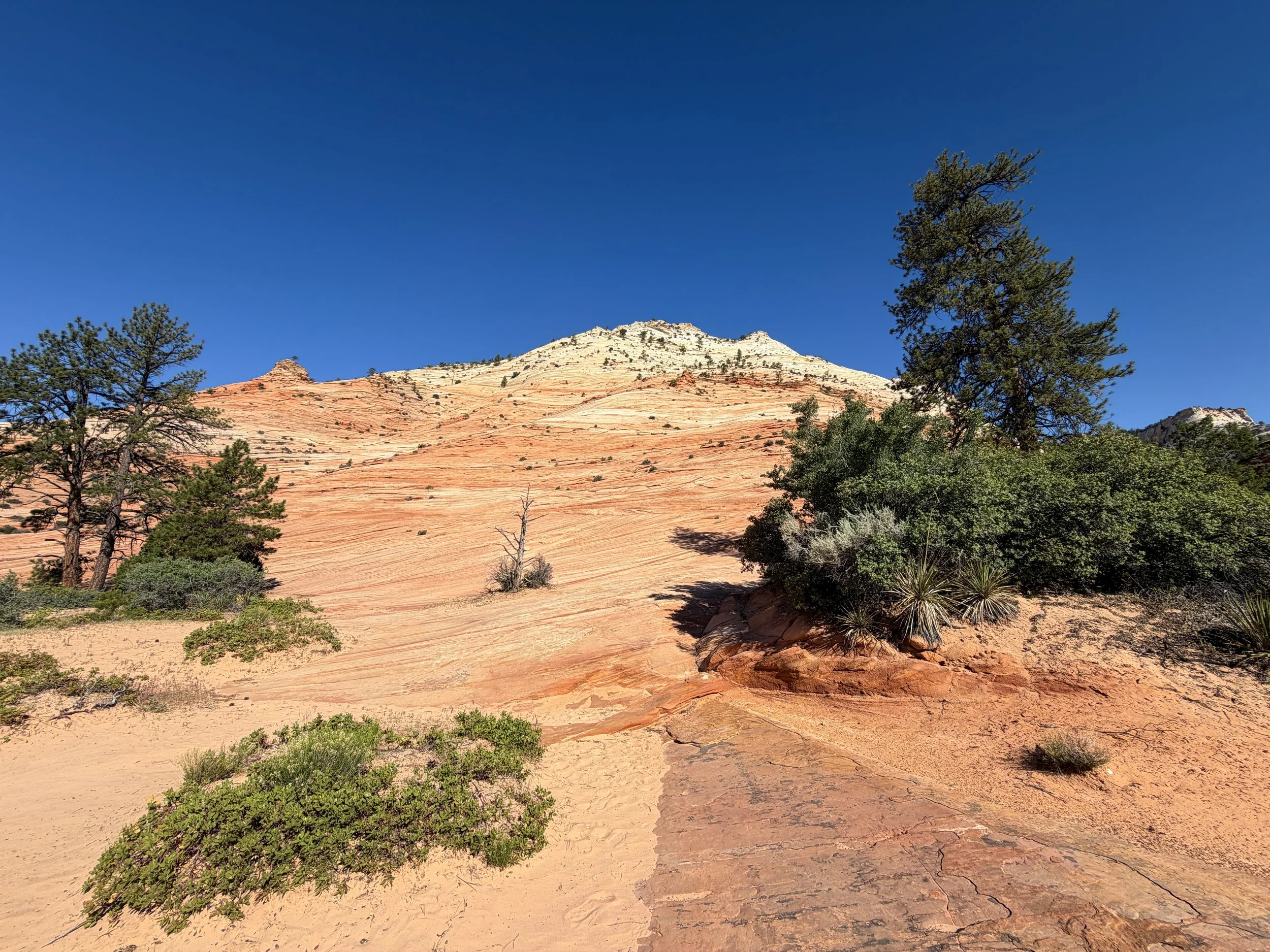 South Ariel Peak Trail Zion National Park Utah