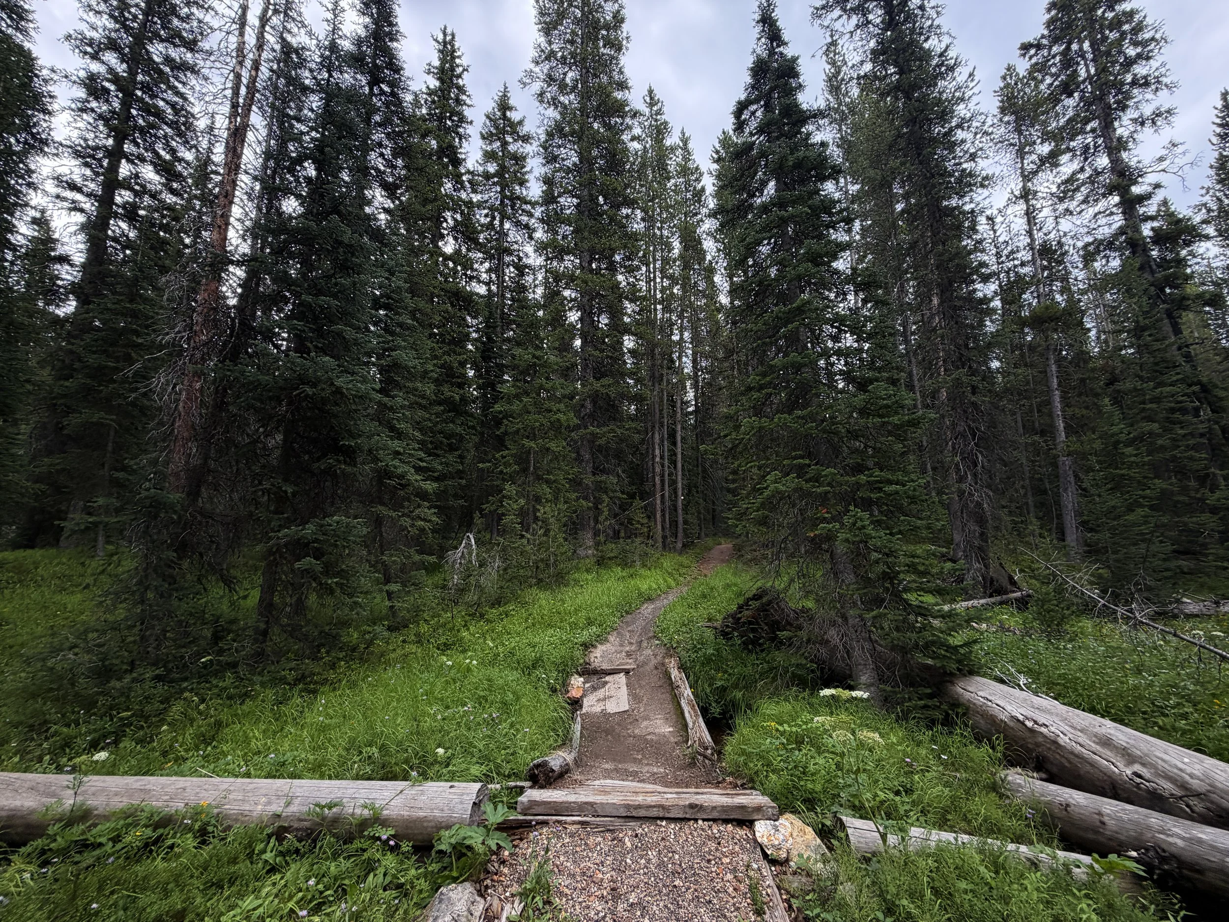 Divide Trail Yellowstone National Park Wyoming