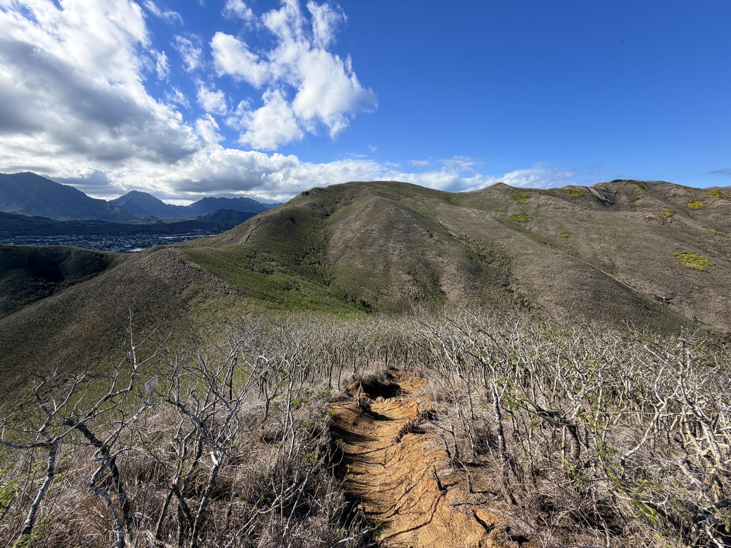 Back Kaiwa Ridge Hike Oahu Hawaii