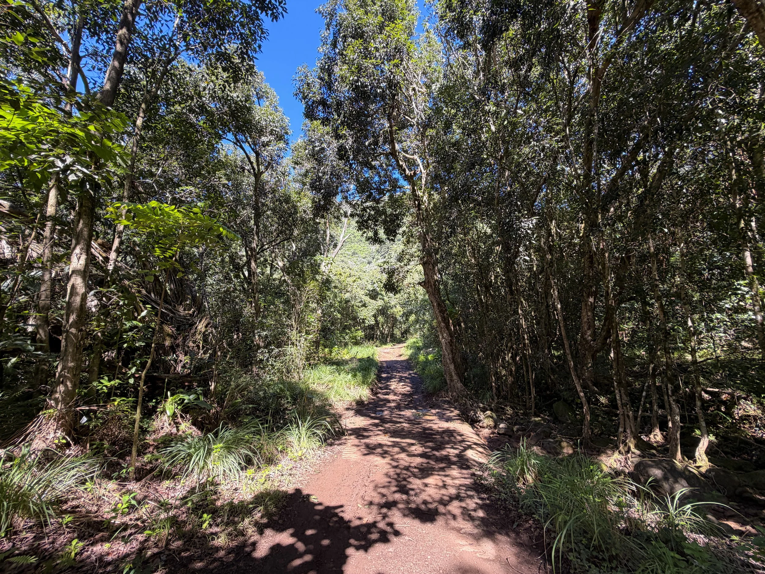 Tripler Ridge Trail via Kamananui Valley Road Oahu Hawaii