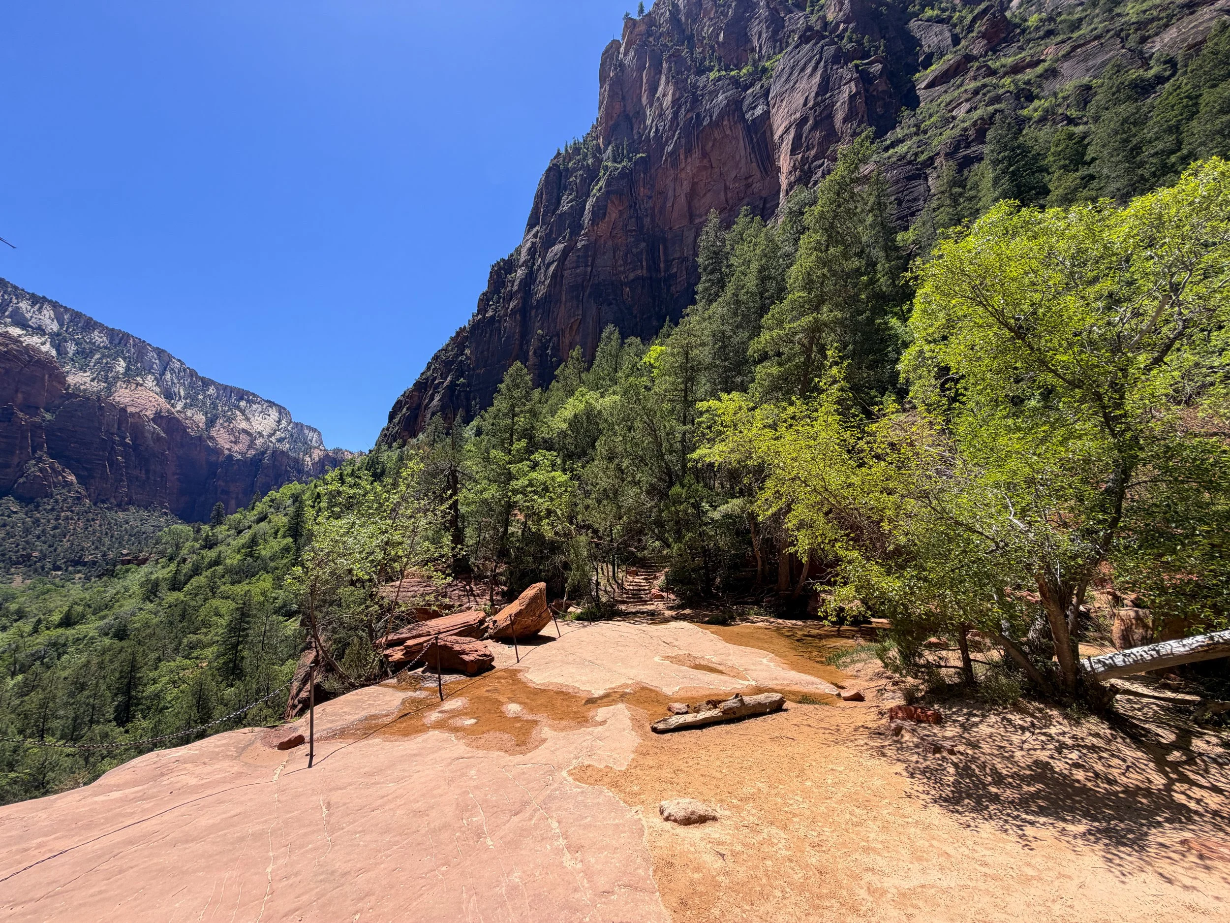 Middle Emerald Pool Zion National Park Utah