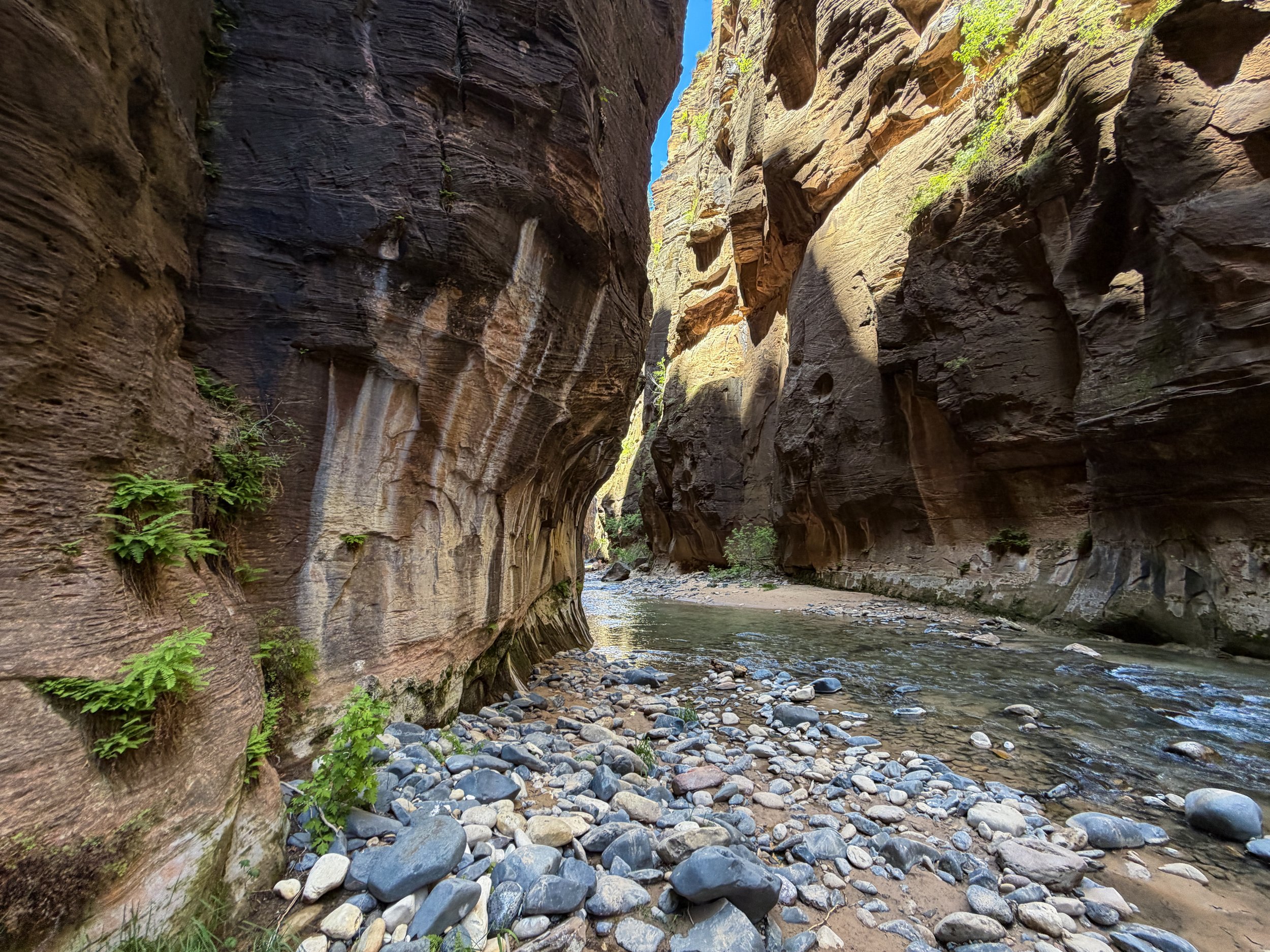 The Narrows Bottom-Up Hike to Big Springs Zion National Park Utah