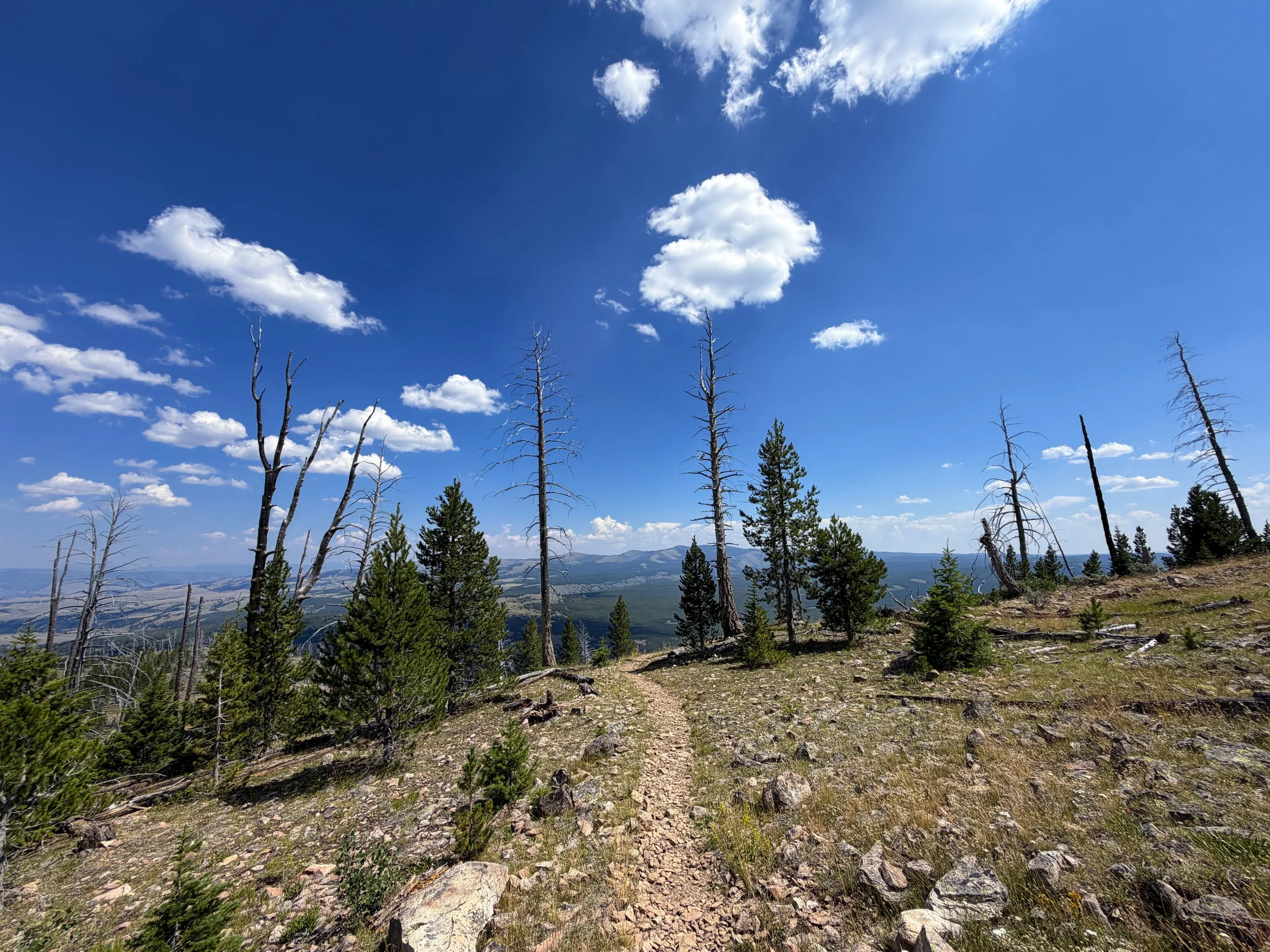 Bunsen Peak Loop Trail Yellowstone National Park Wyoming