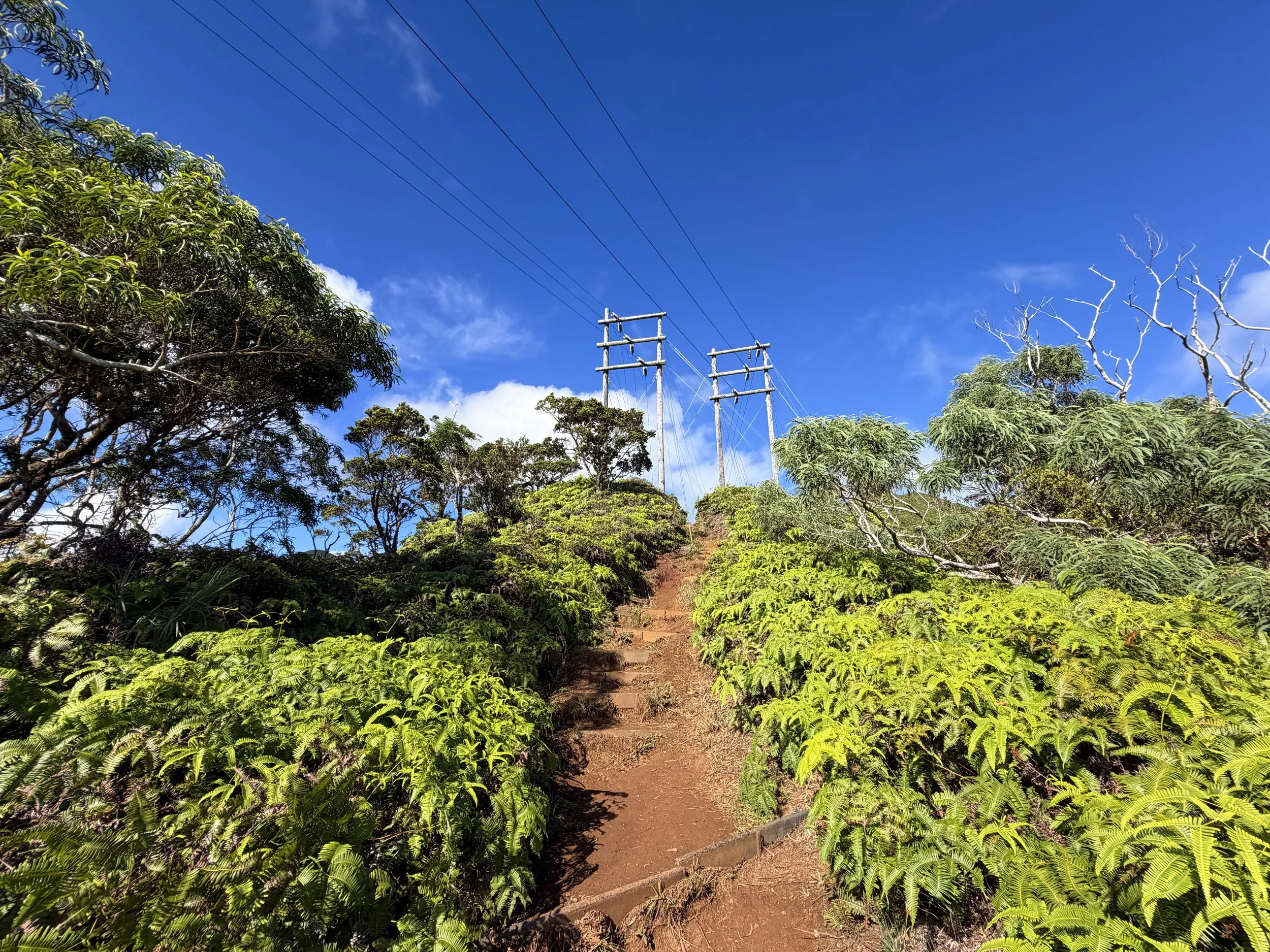 Wiliwilinui Ridge Trail Stairs Oahu Hawaii
