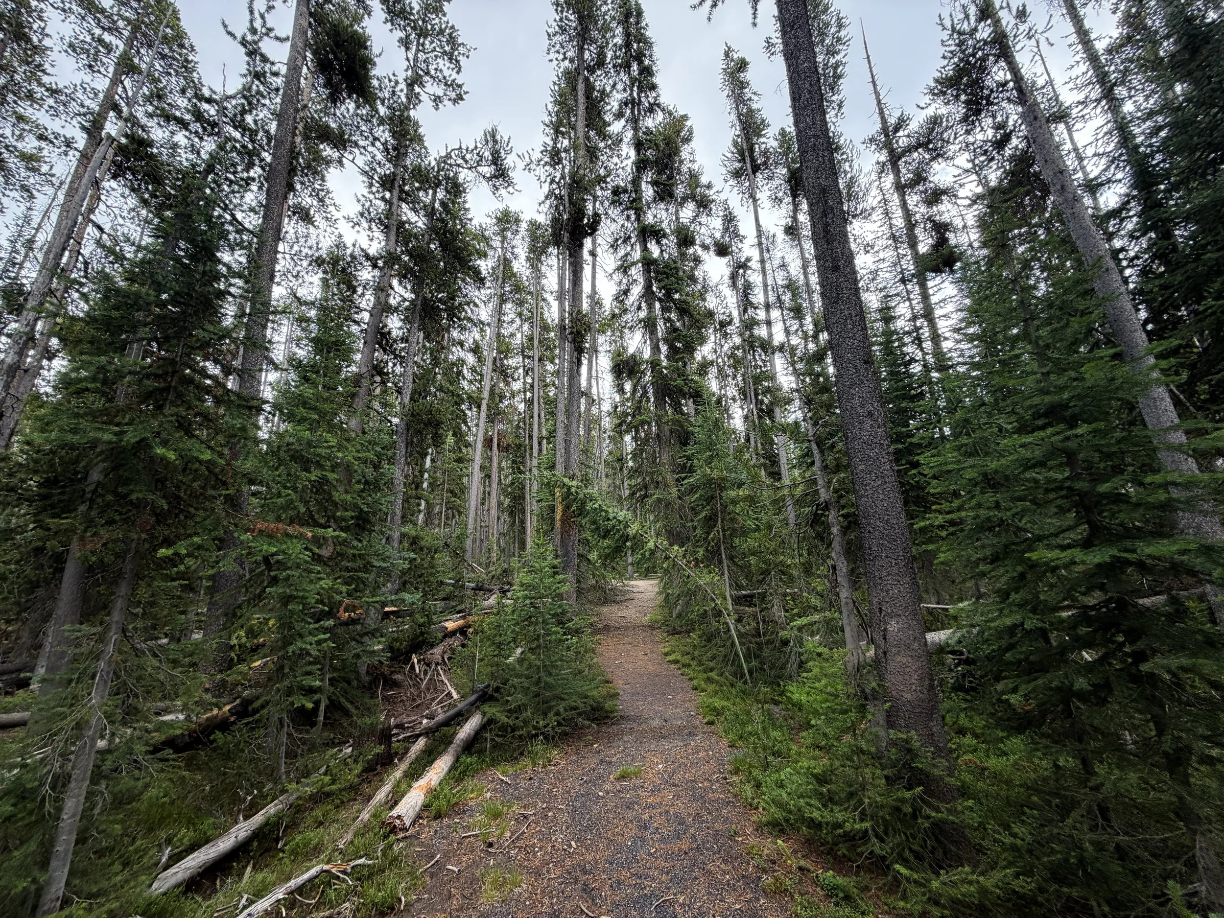 Divide Mountain Hike Yellowstone National Park Wyoming