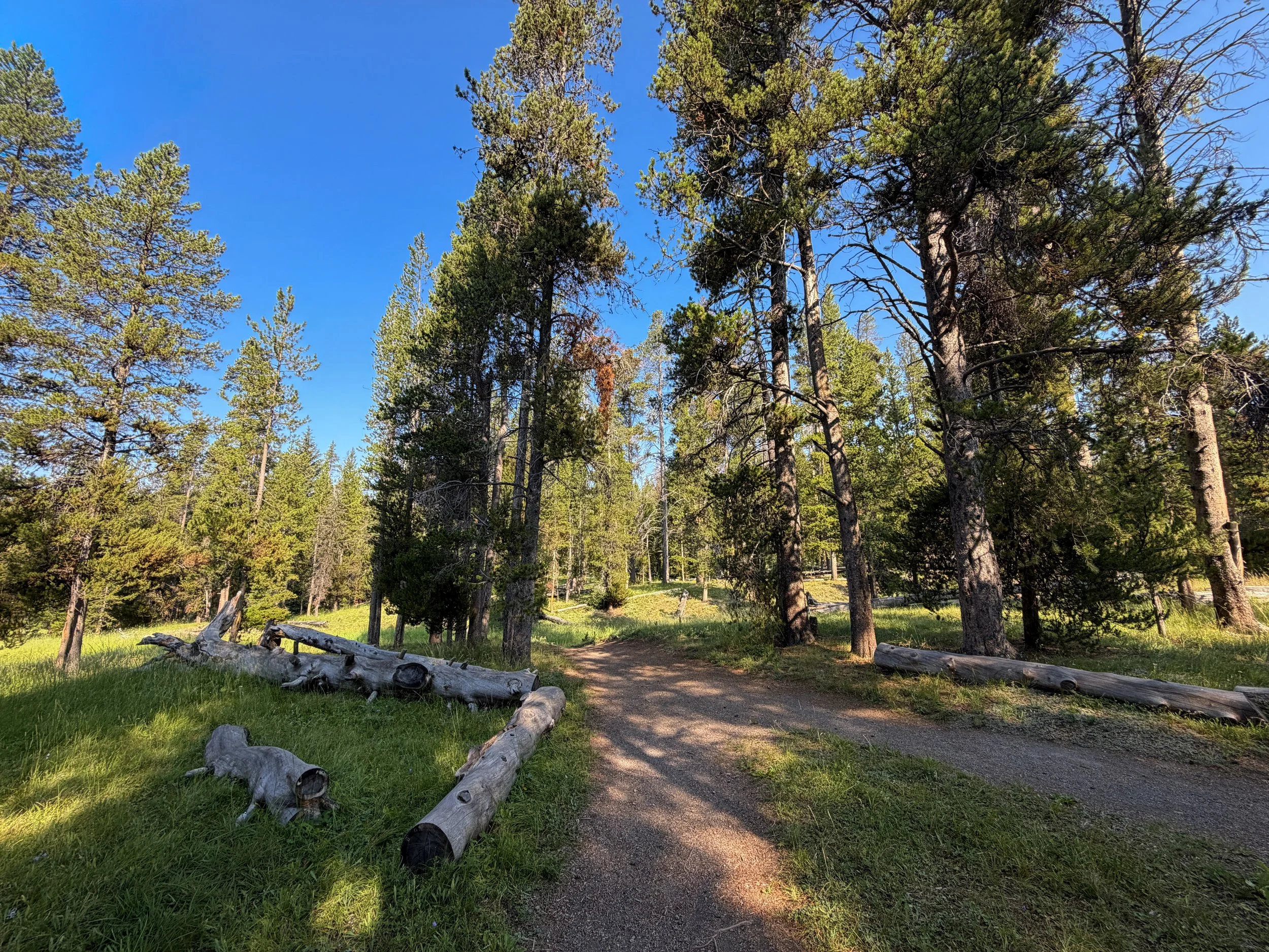 Natural Bridge Trail Yellowstone National Park Wyoming