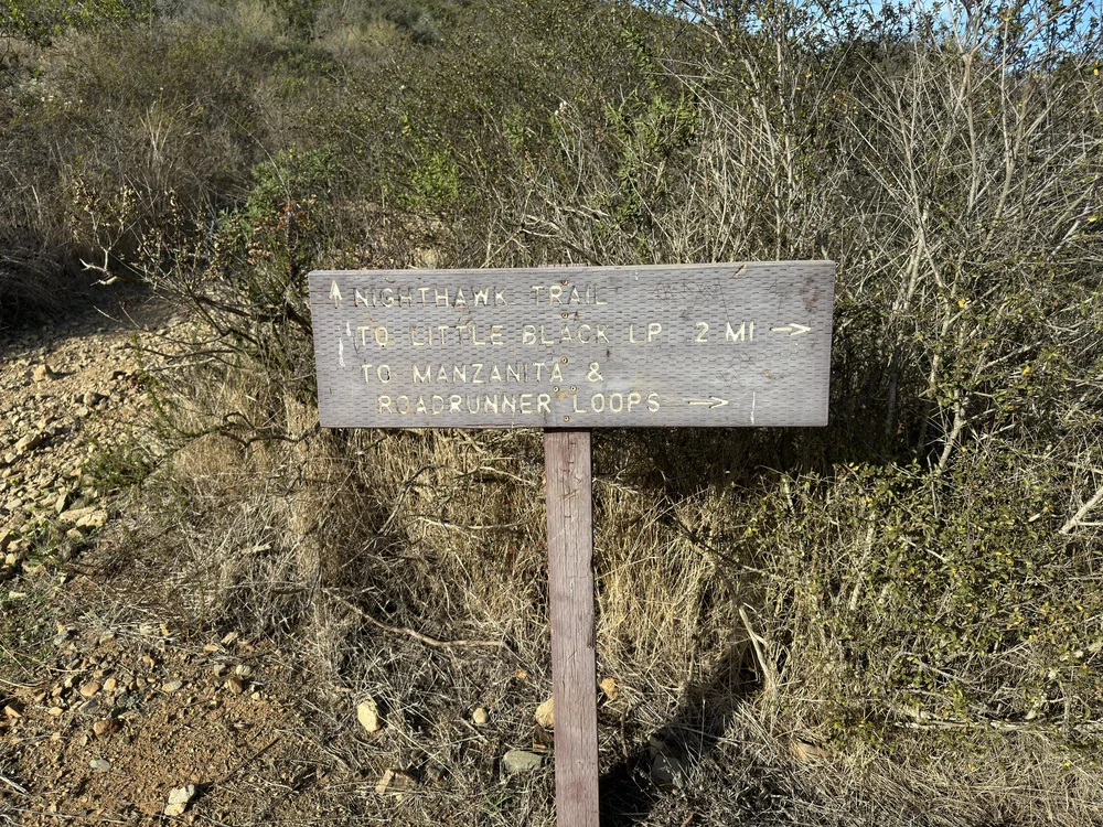 Hiking the Nighthawk Trail to Black Mountain Summit in San Diego