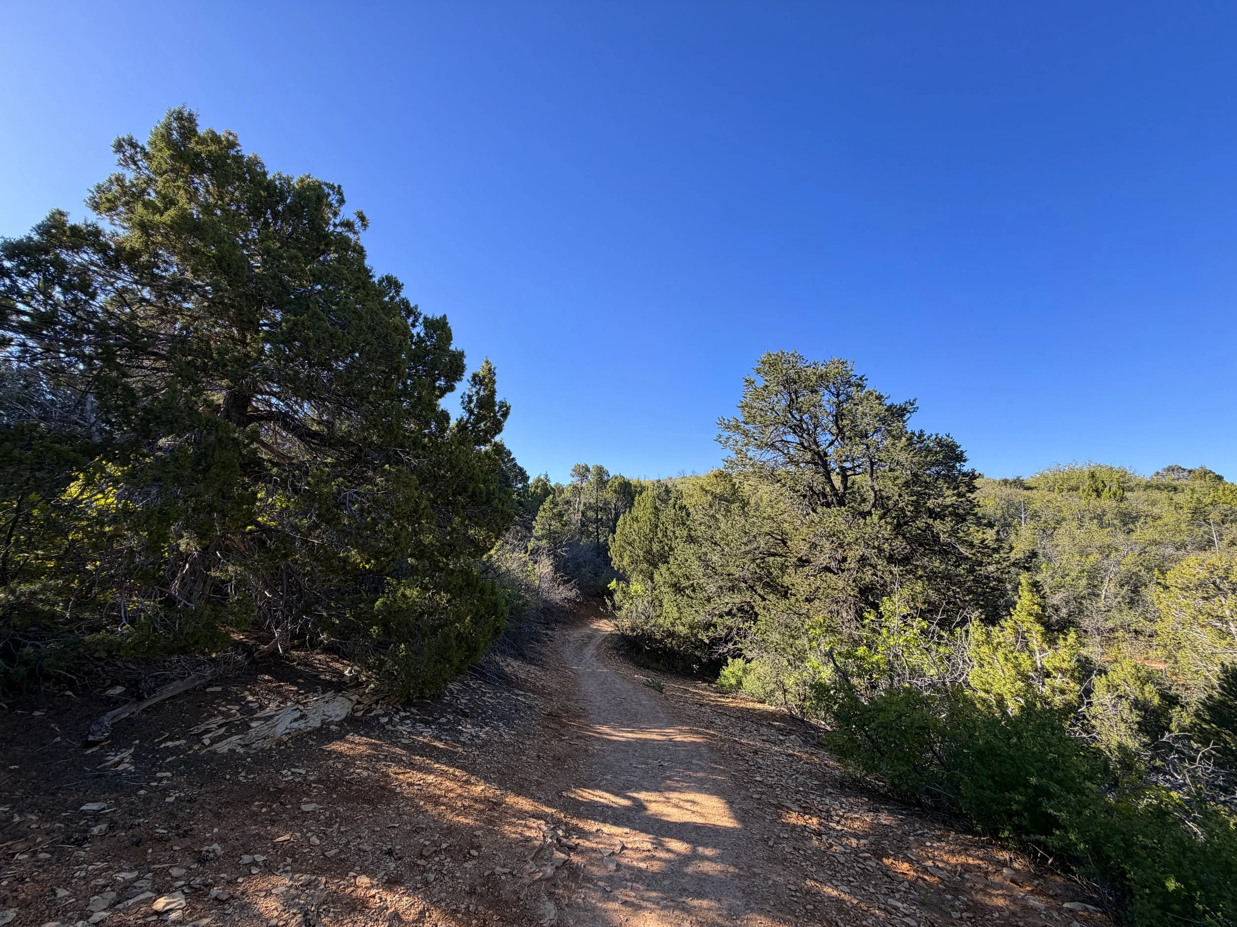 East Mesa Trail to Observation Point Zion National Park Utah