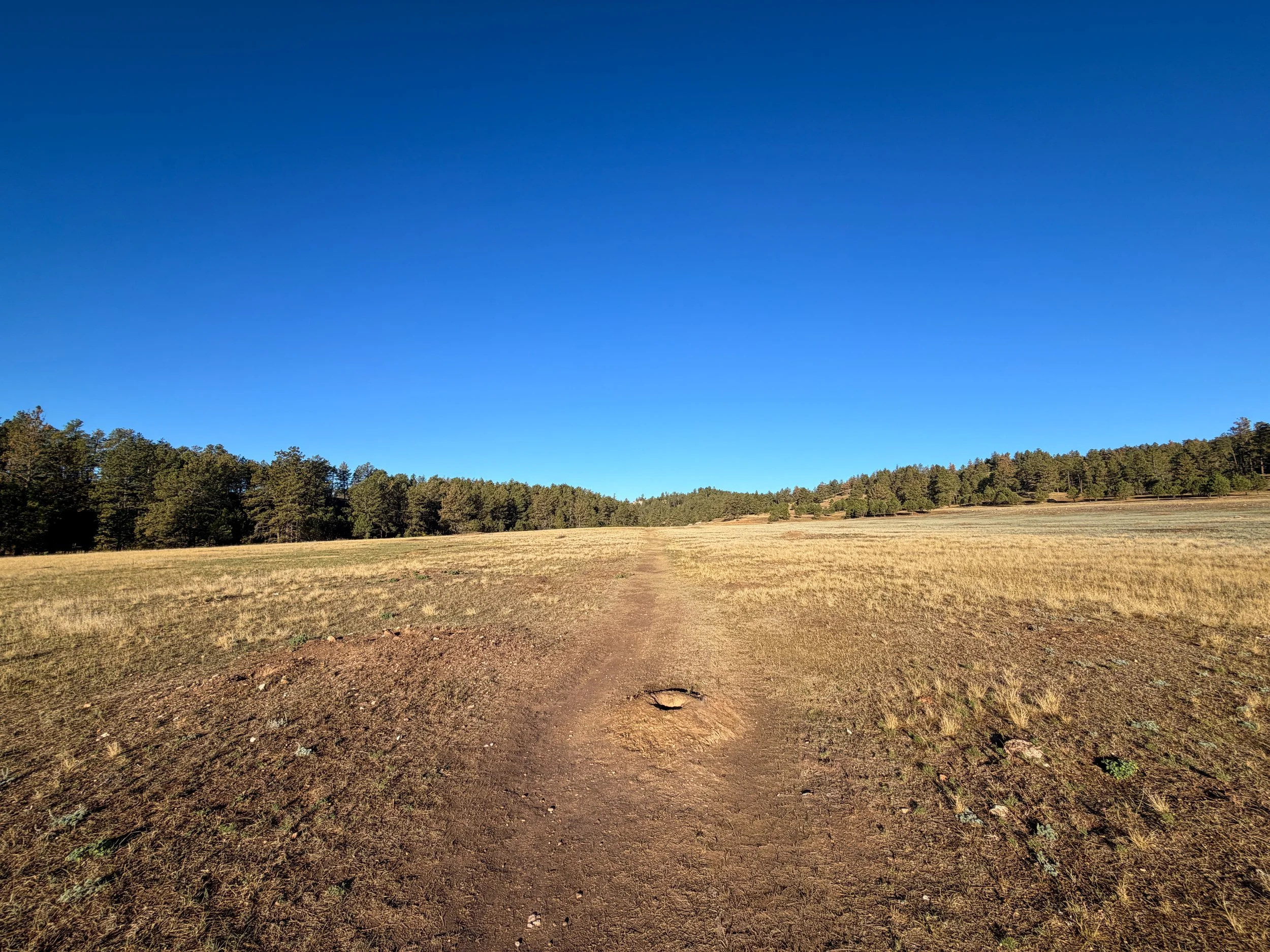 Cold Brook Canyon Hike Wind Cave National Park South Dakota