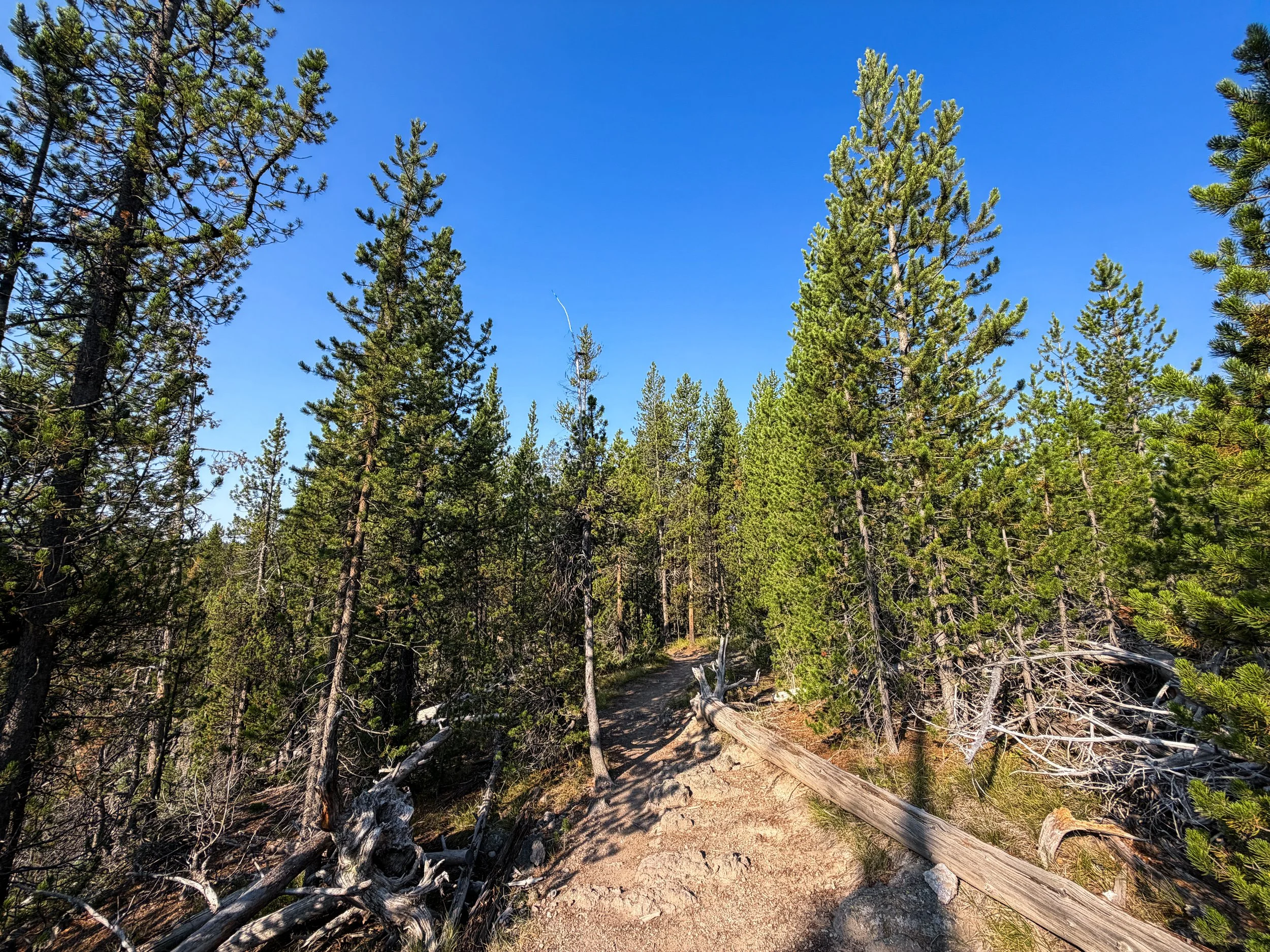 Natural Bridge Trail Yellowstone National Park Wyoming
