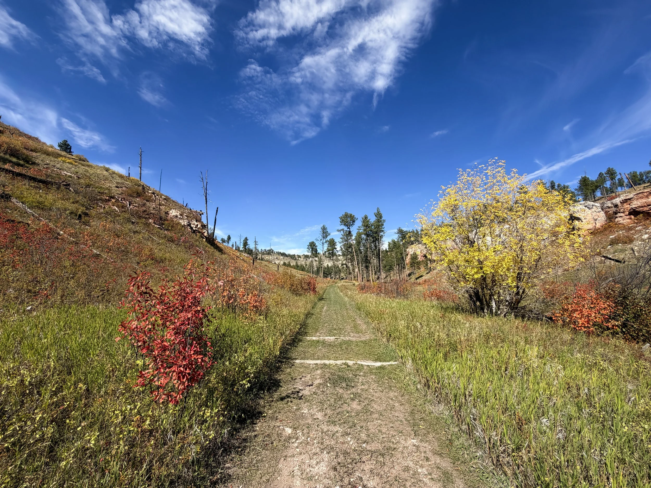 Canyons Trail Jewel Cave National Monument Black Hills South Dakota