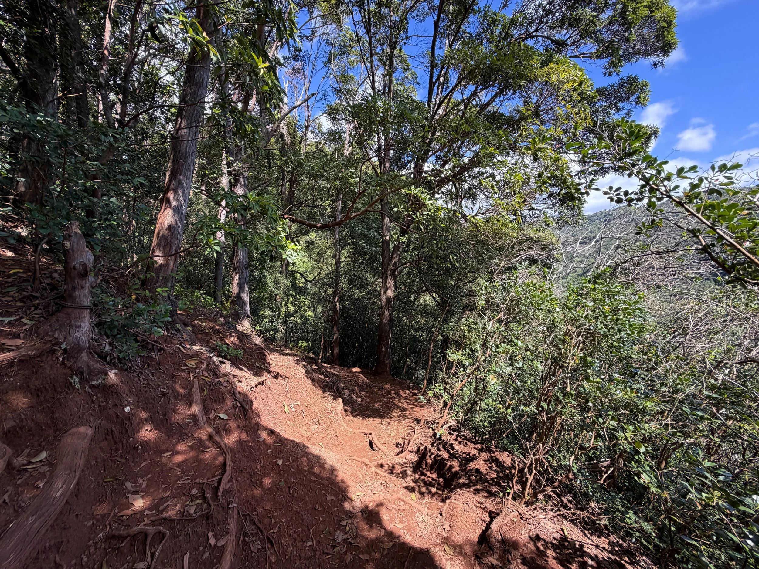 Waimano Falls Hike Oahu Hawaii