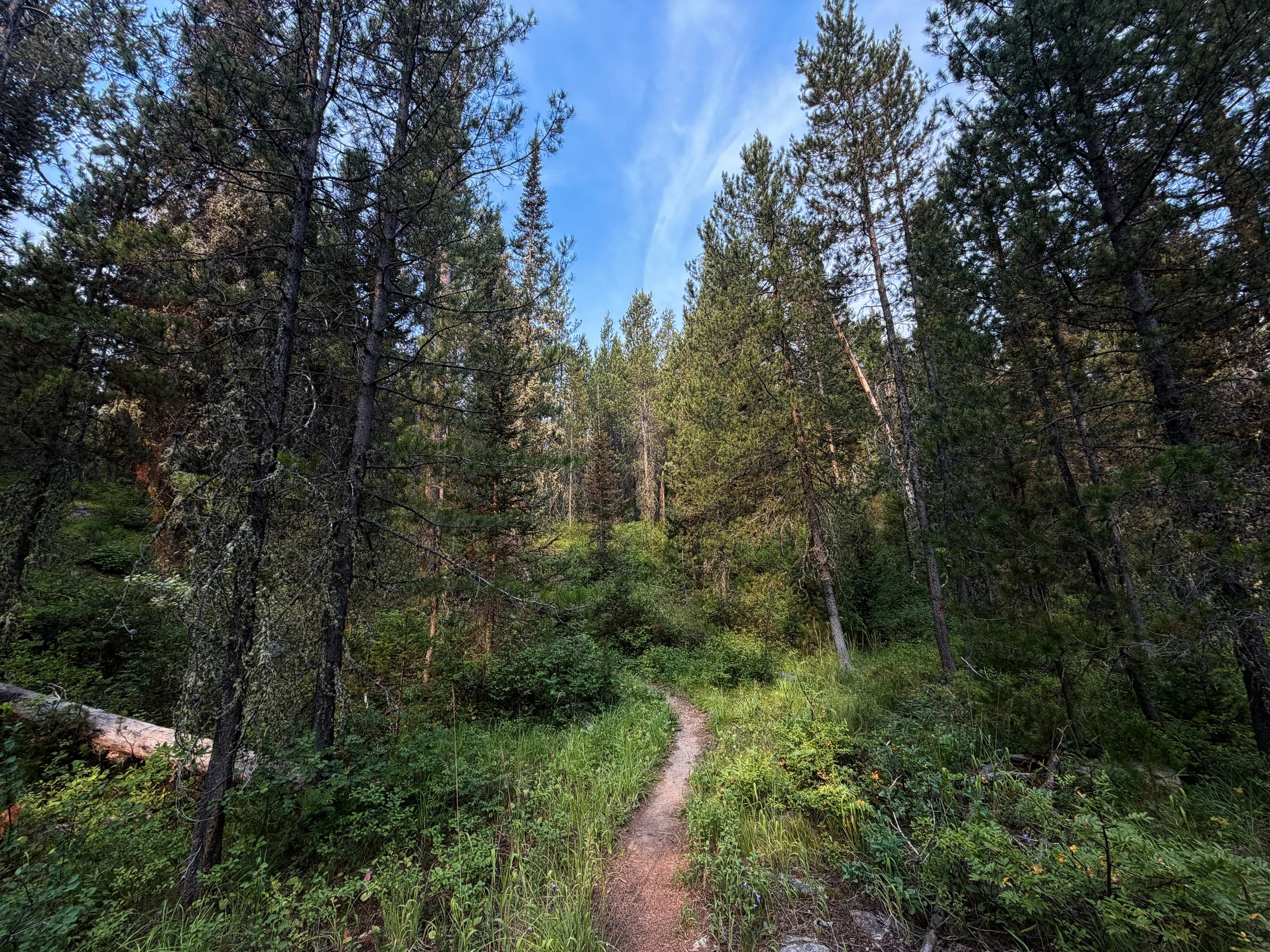 Aspen–Boulder Ridge Loop Trail Grand Teton National Park Wyoming