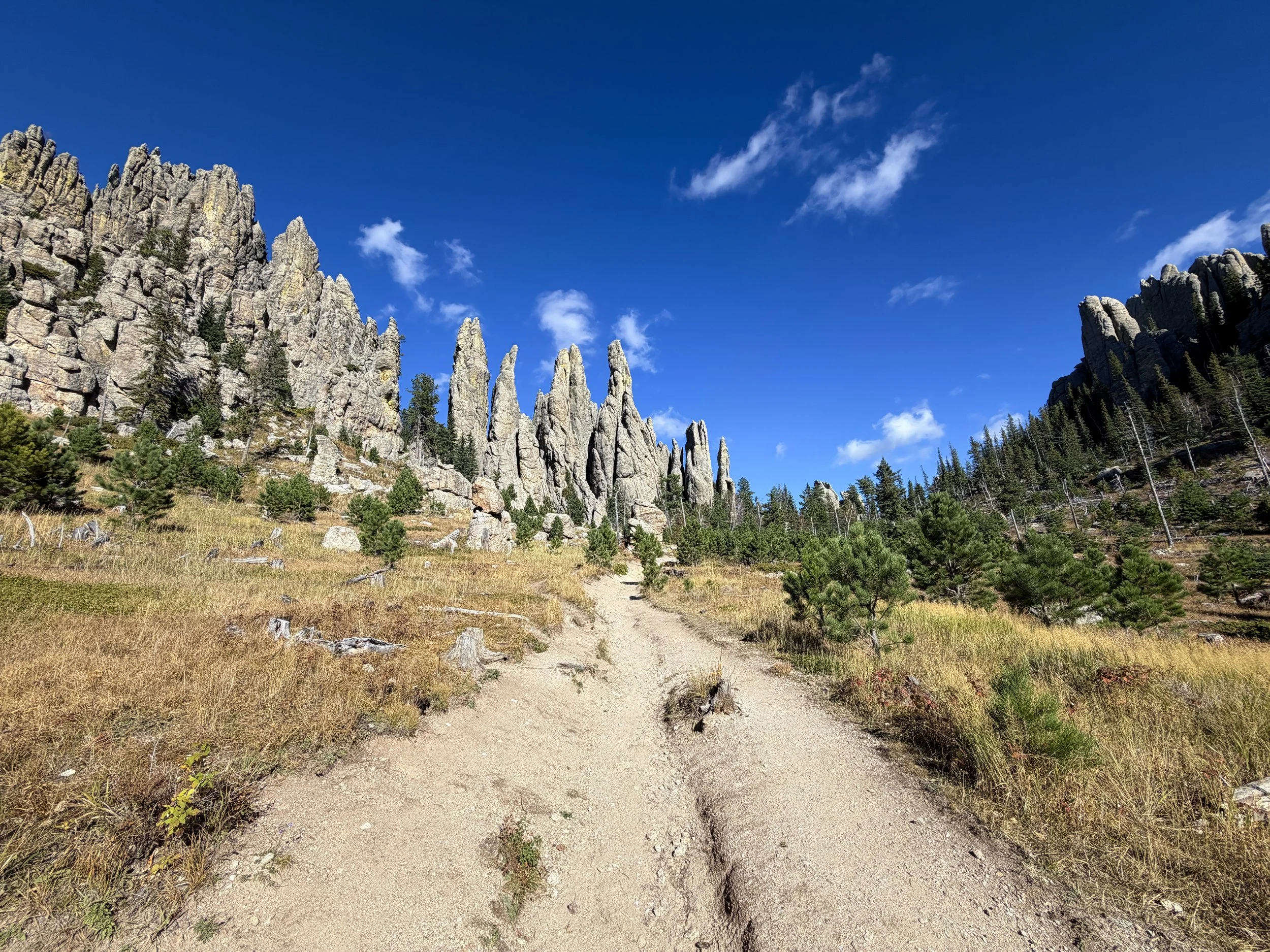 Cathedral Spires Trail Custer State Park Black Hills South Dakota