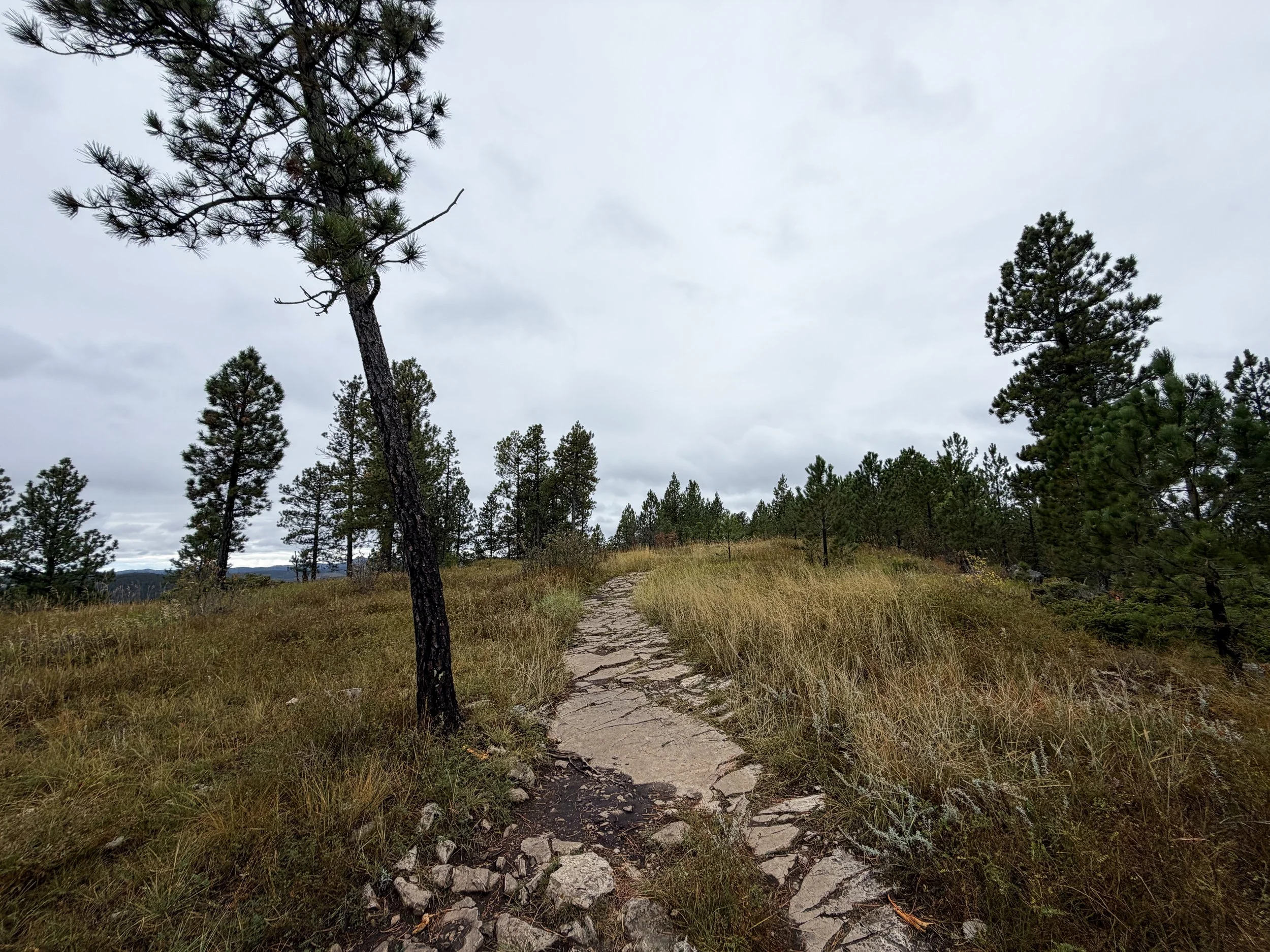 Buzzards Roost Trail Black Hills Rapid City South Dakota