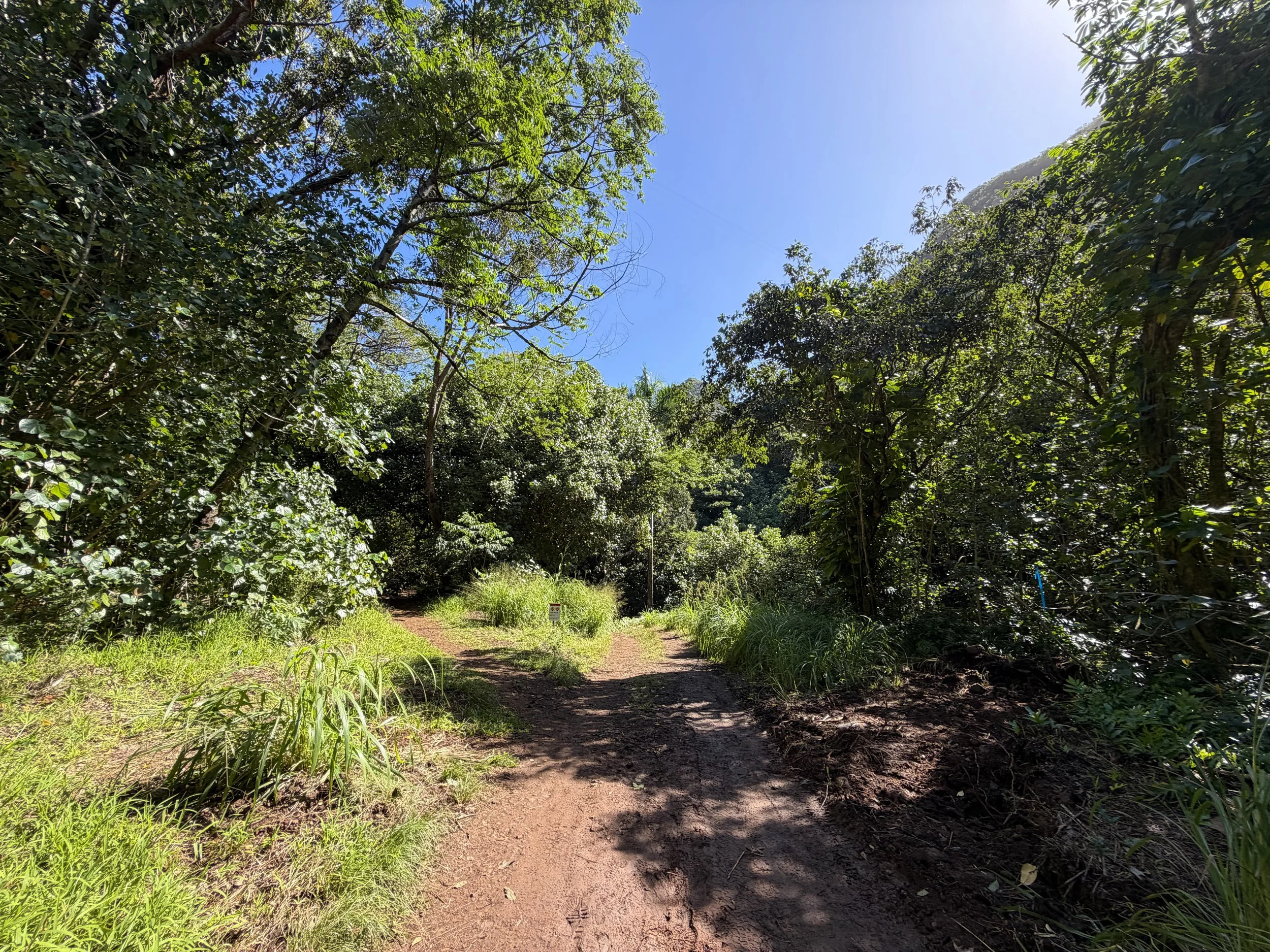 Tripler Ridge Trail via Moanalua Valley Oahu Hawaii