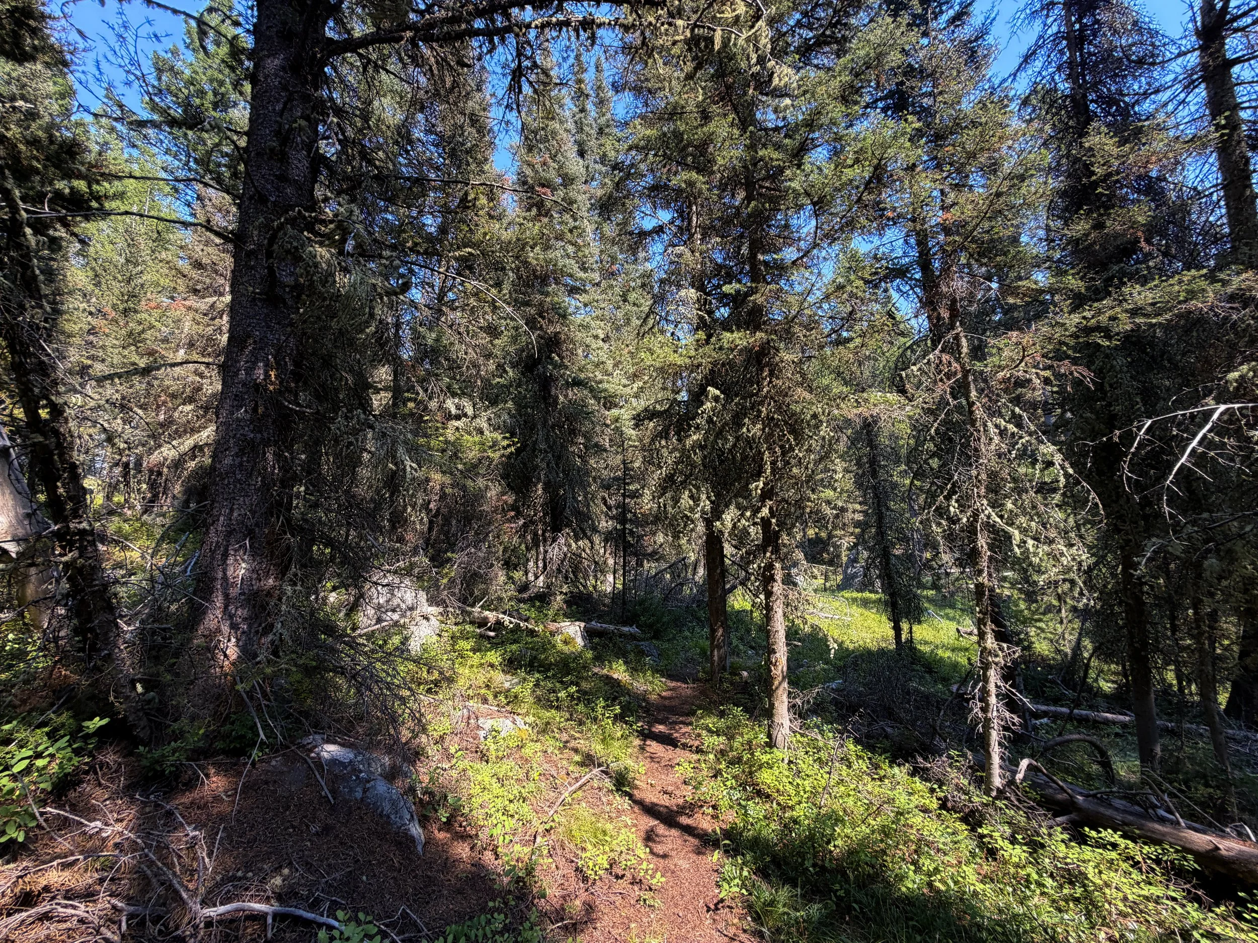 Boulder Field Trail Grand Teton National Park Wyoming