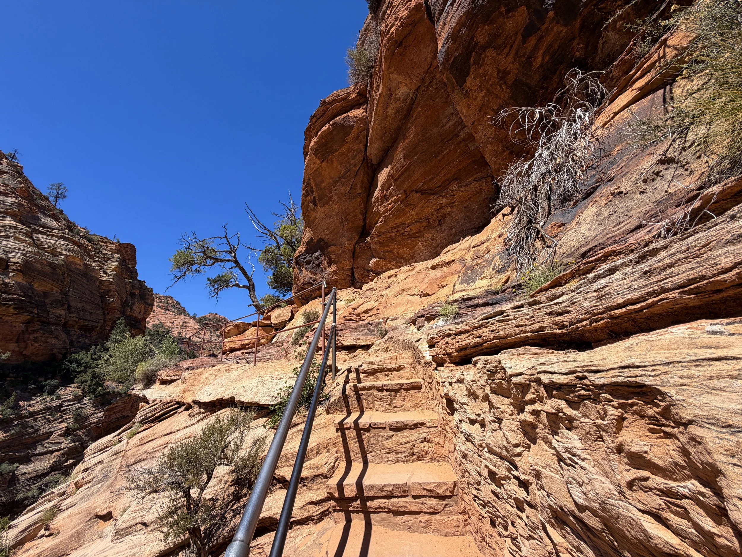 Canyon Overlook Trail Zion National Park Utah