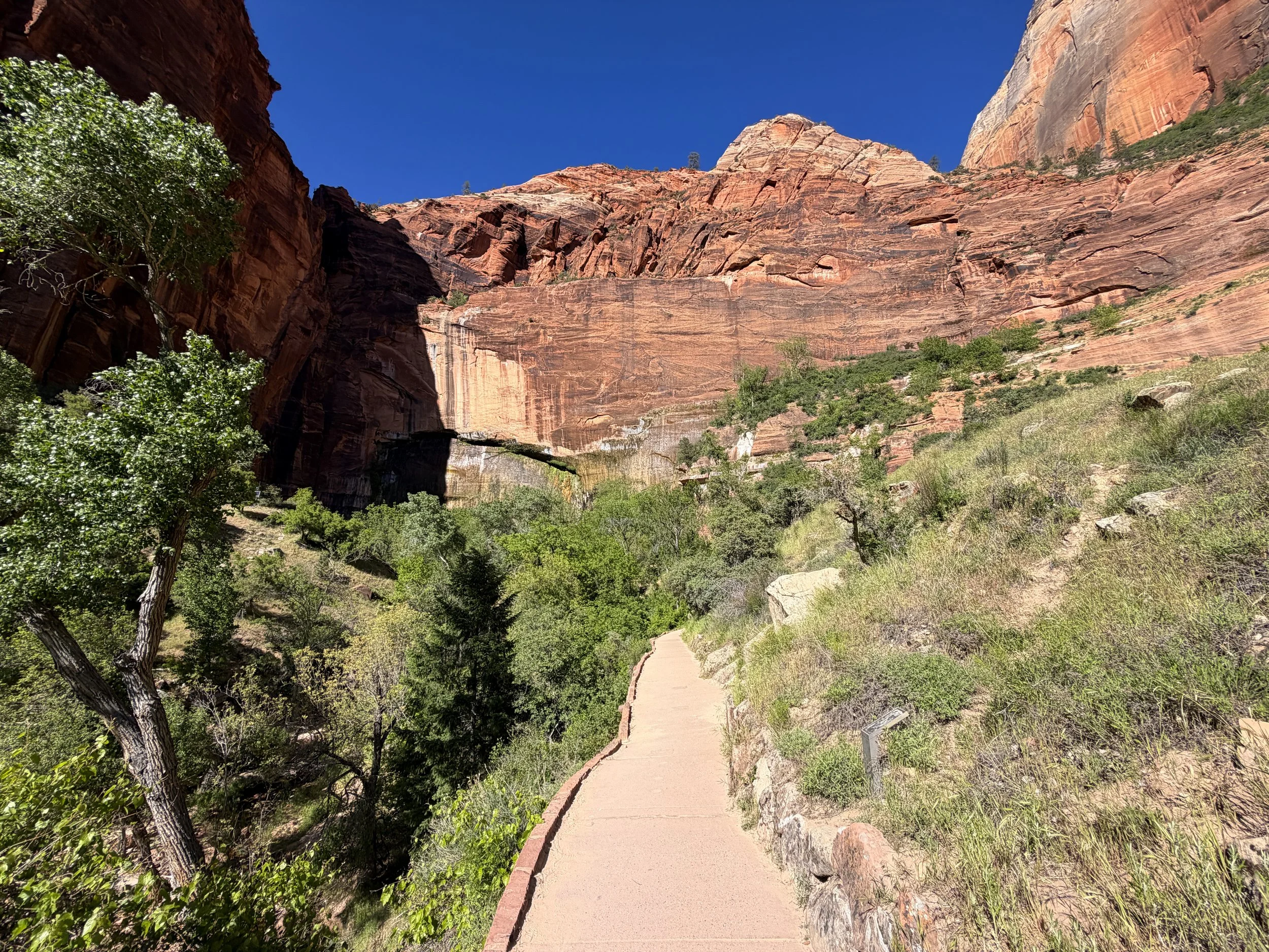 Weeping Rock Trail Zion National Park Utah