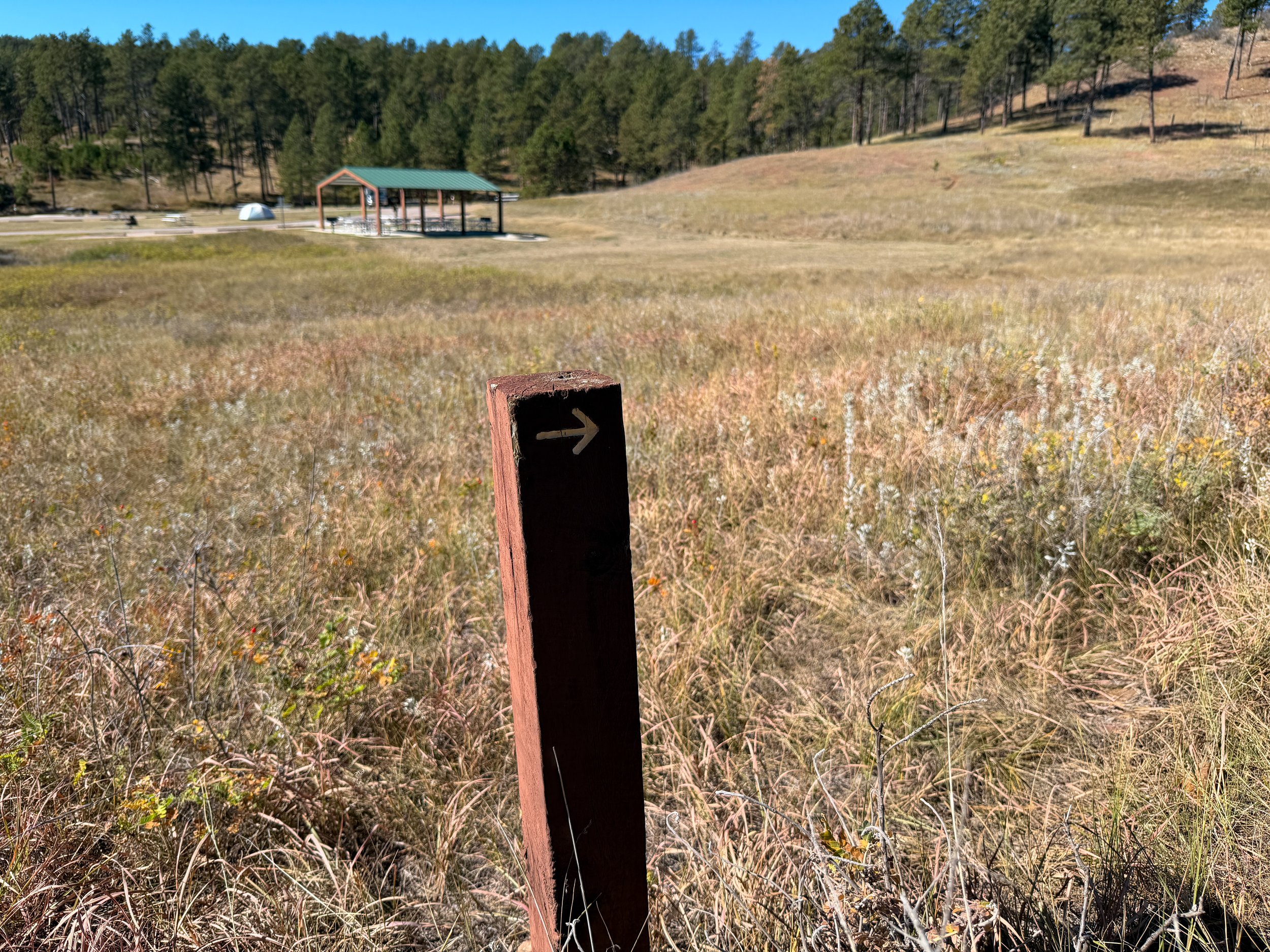 Elk Mountain Loop Trail Wind Cave National Park South Dakota