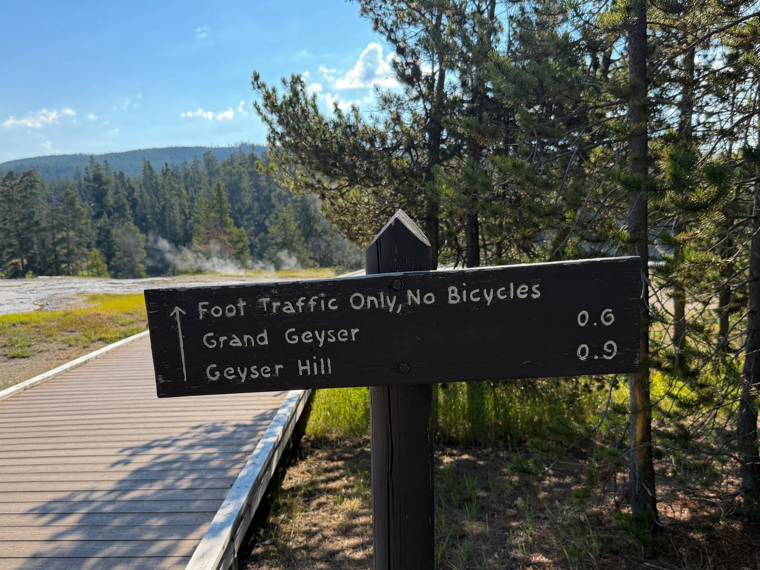 Upper Geyser Basin Trail Yellowstone National Park Wyoming