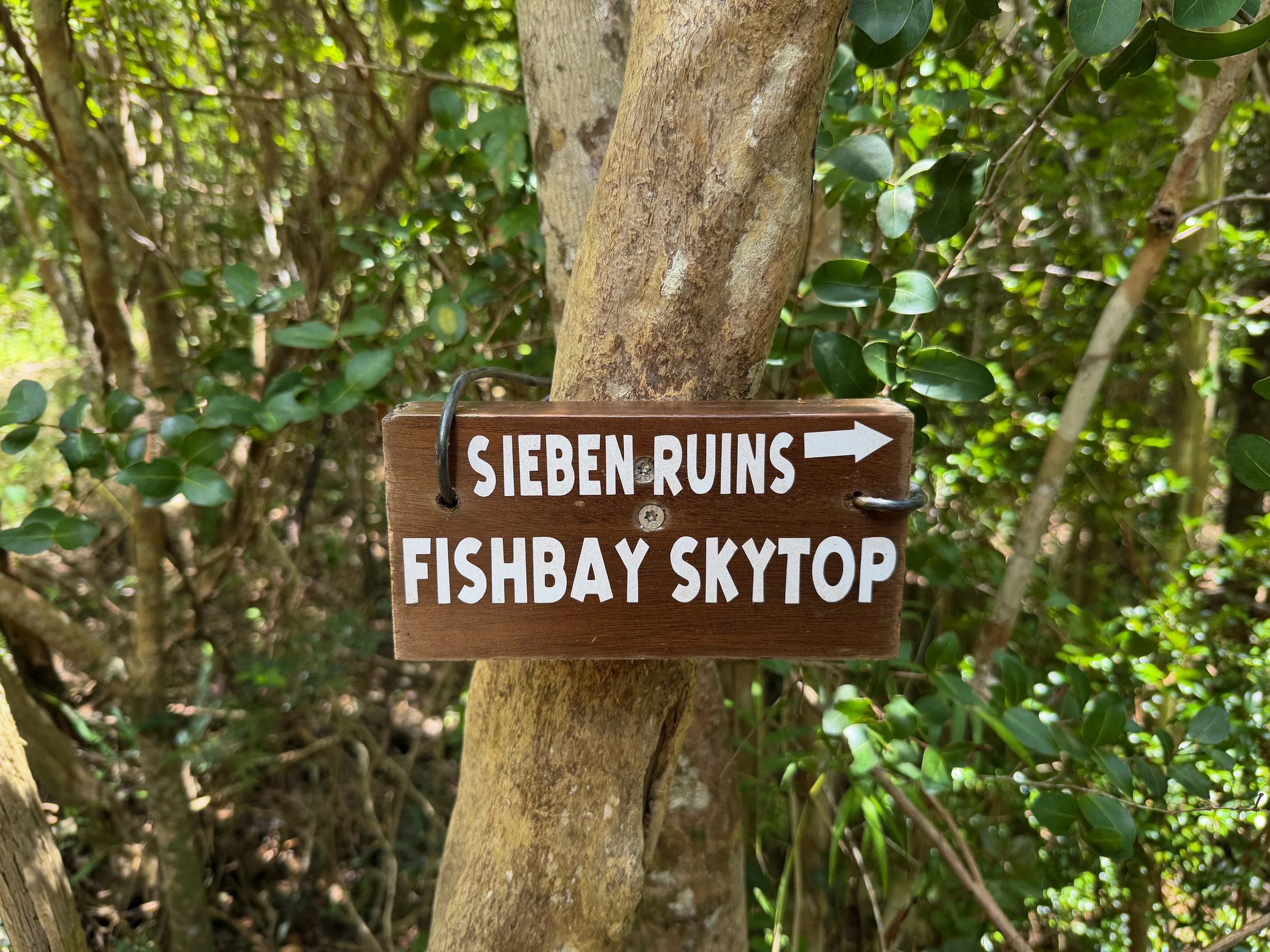 LEsperance Trail to Great Sieben Trail Virgin Islands National Park