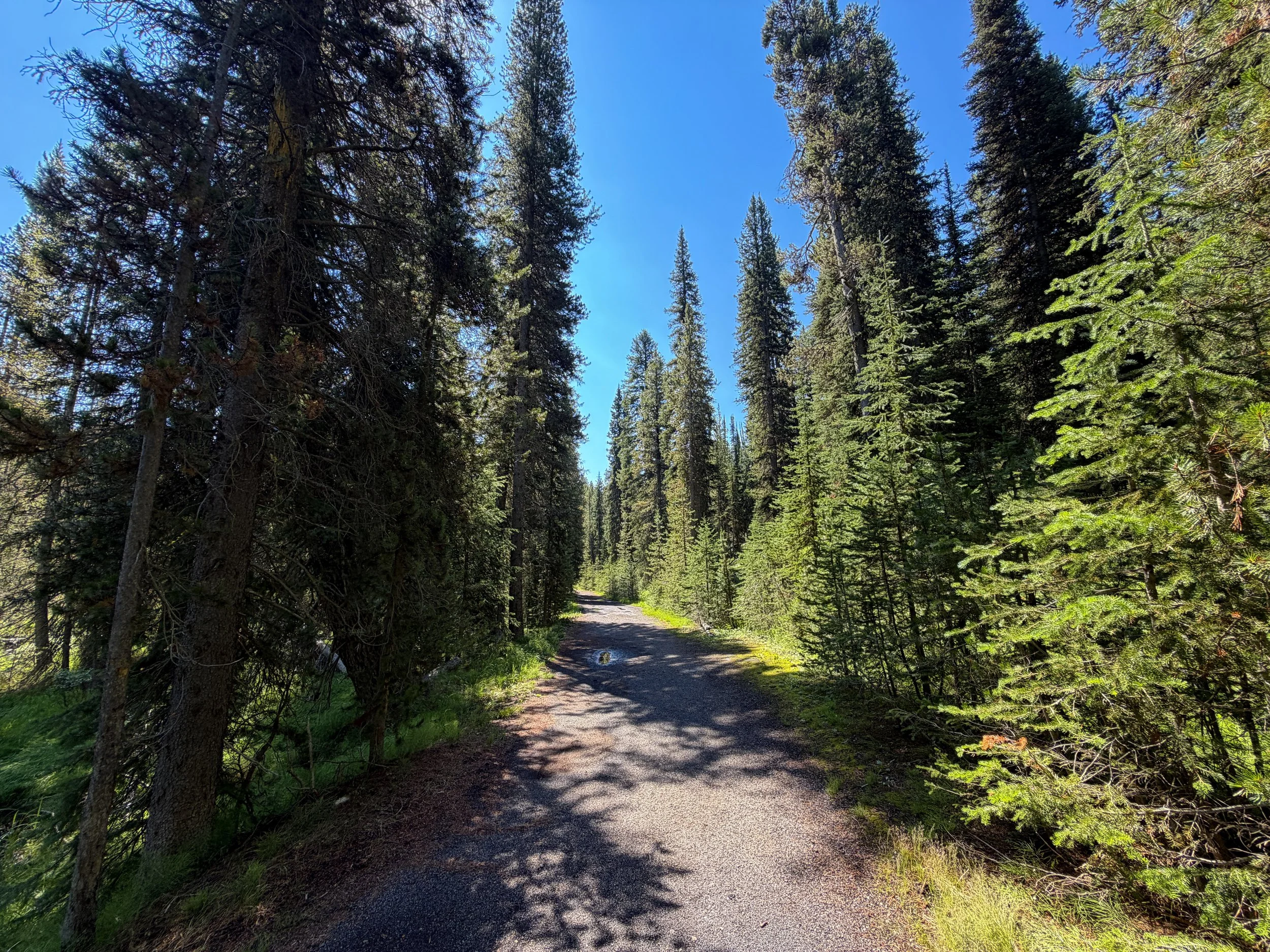 Lone Star Geyser Hike Yellowstone National Park Wyoming