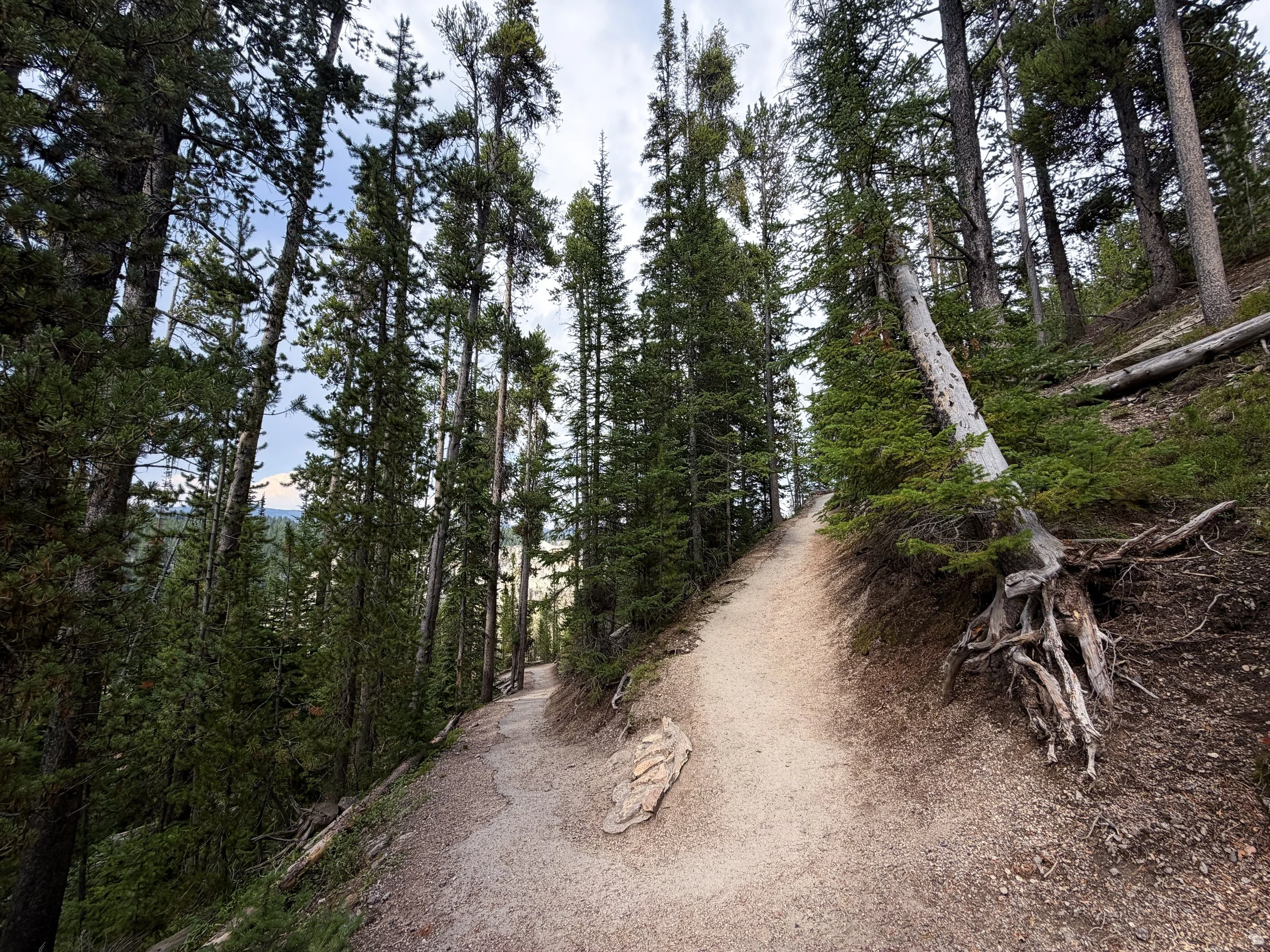 South Rim Trail Yellowstone National Park Wyoming