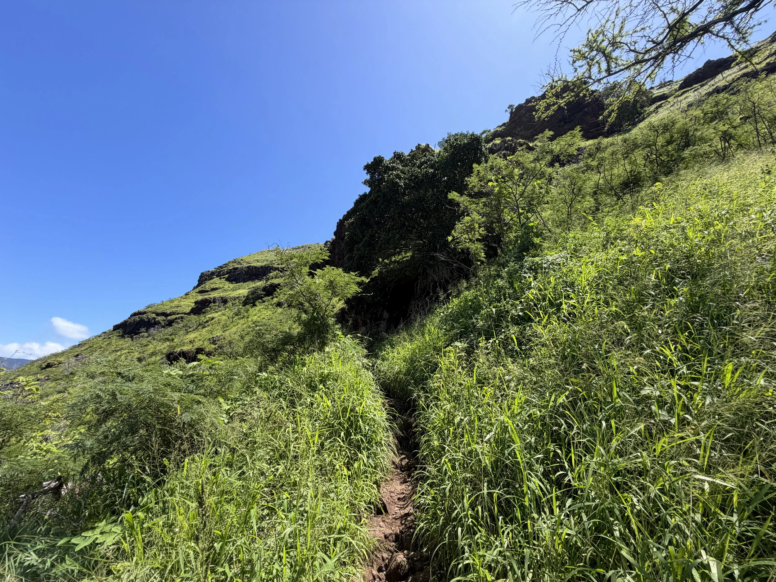 Puu O Hulu Hike Oahu Hawaii