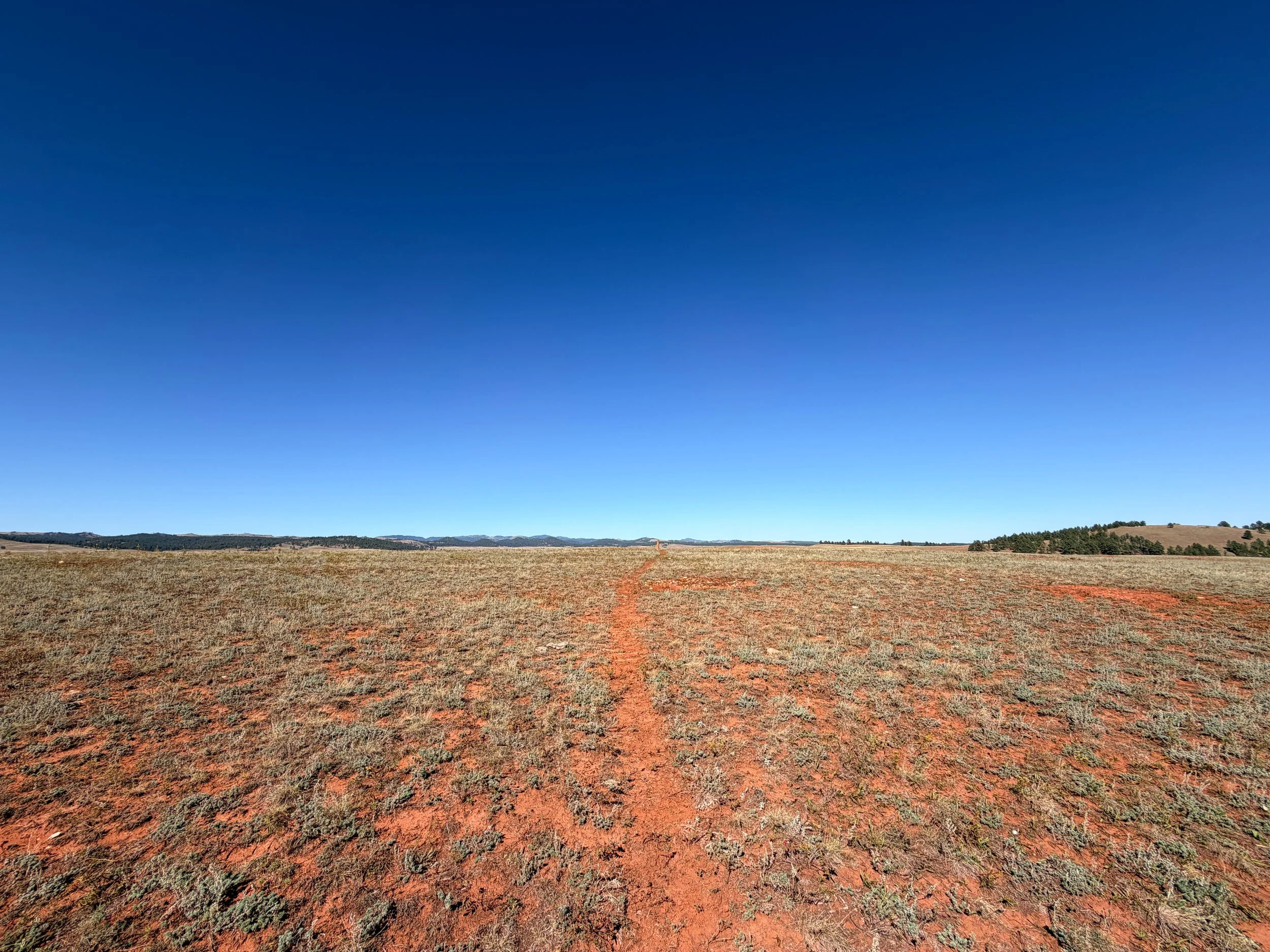 East Bison Flats Trail to Wind Cave Canyon Wind Cave National Park South Dakota