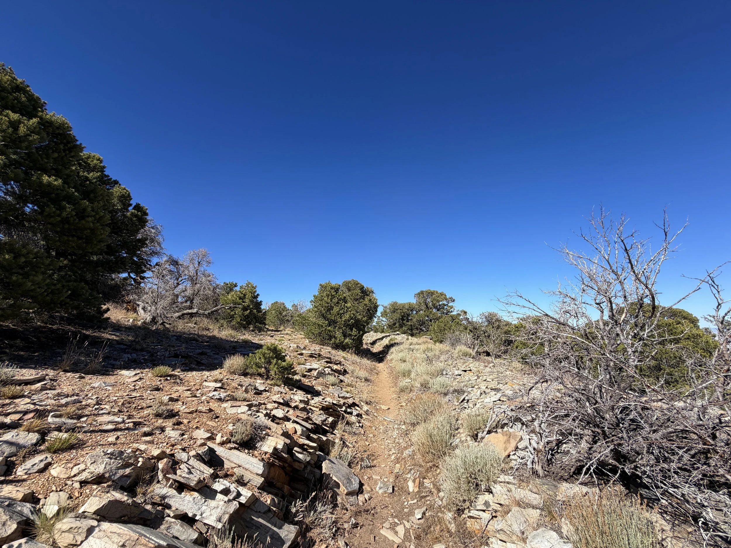 Osceola Ditch Trail Great Basin National Park Nevada