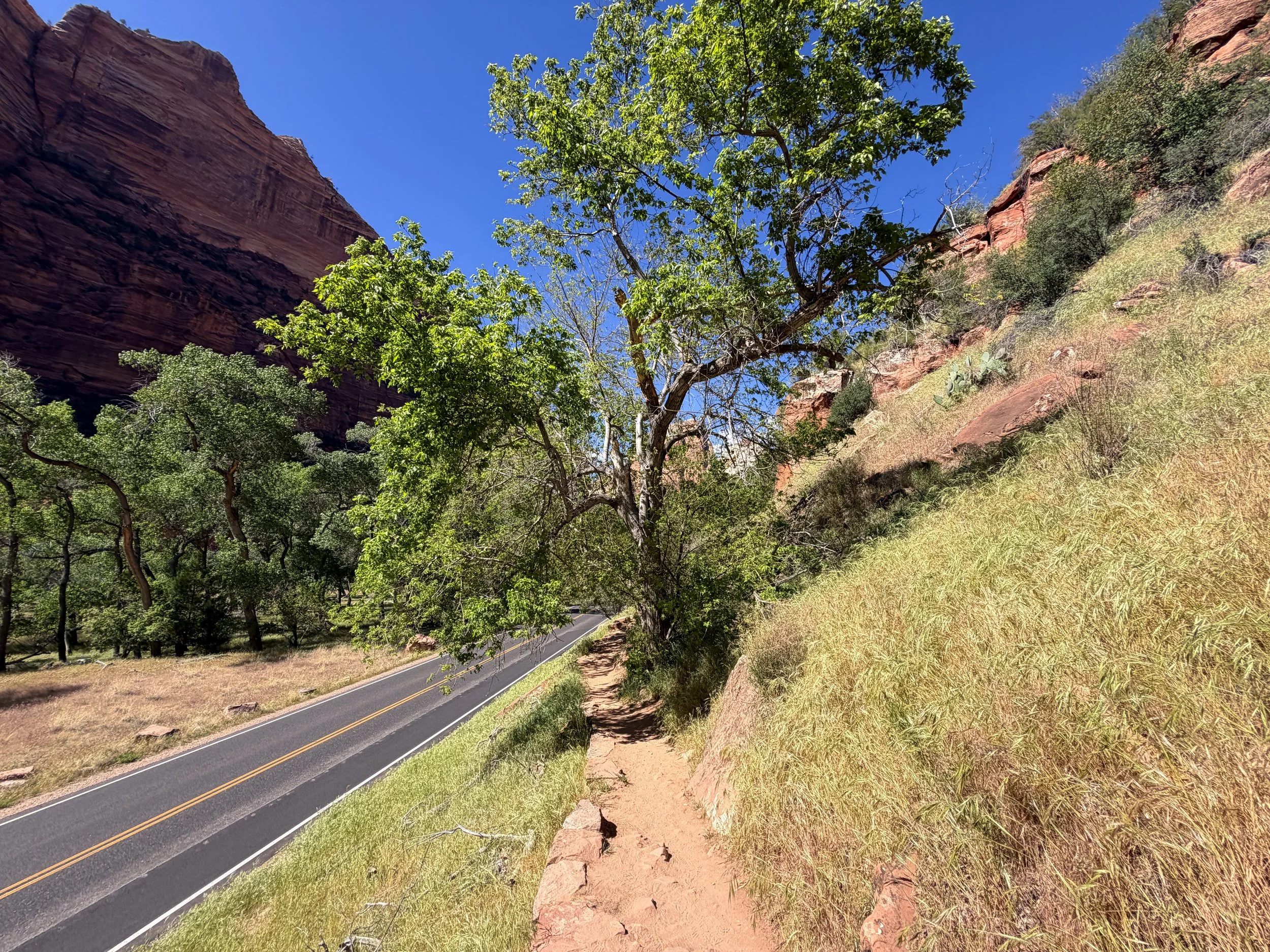 Grotto Trail Zion National Park Utah