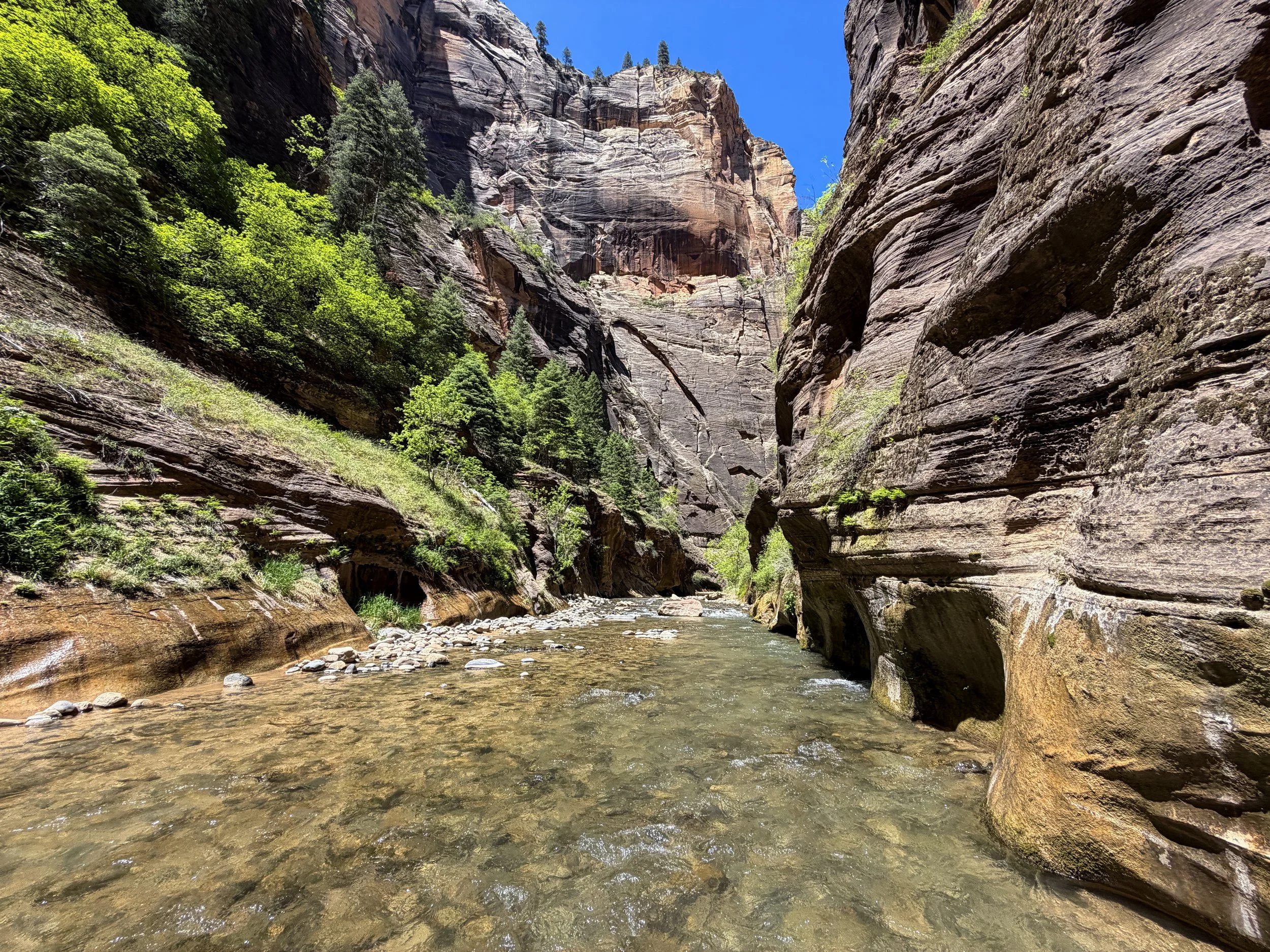 Narrows Hike Zion National Park Utah