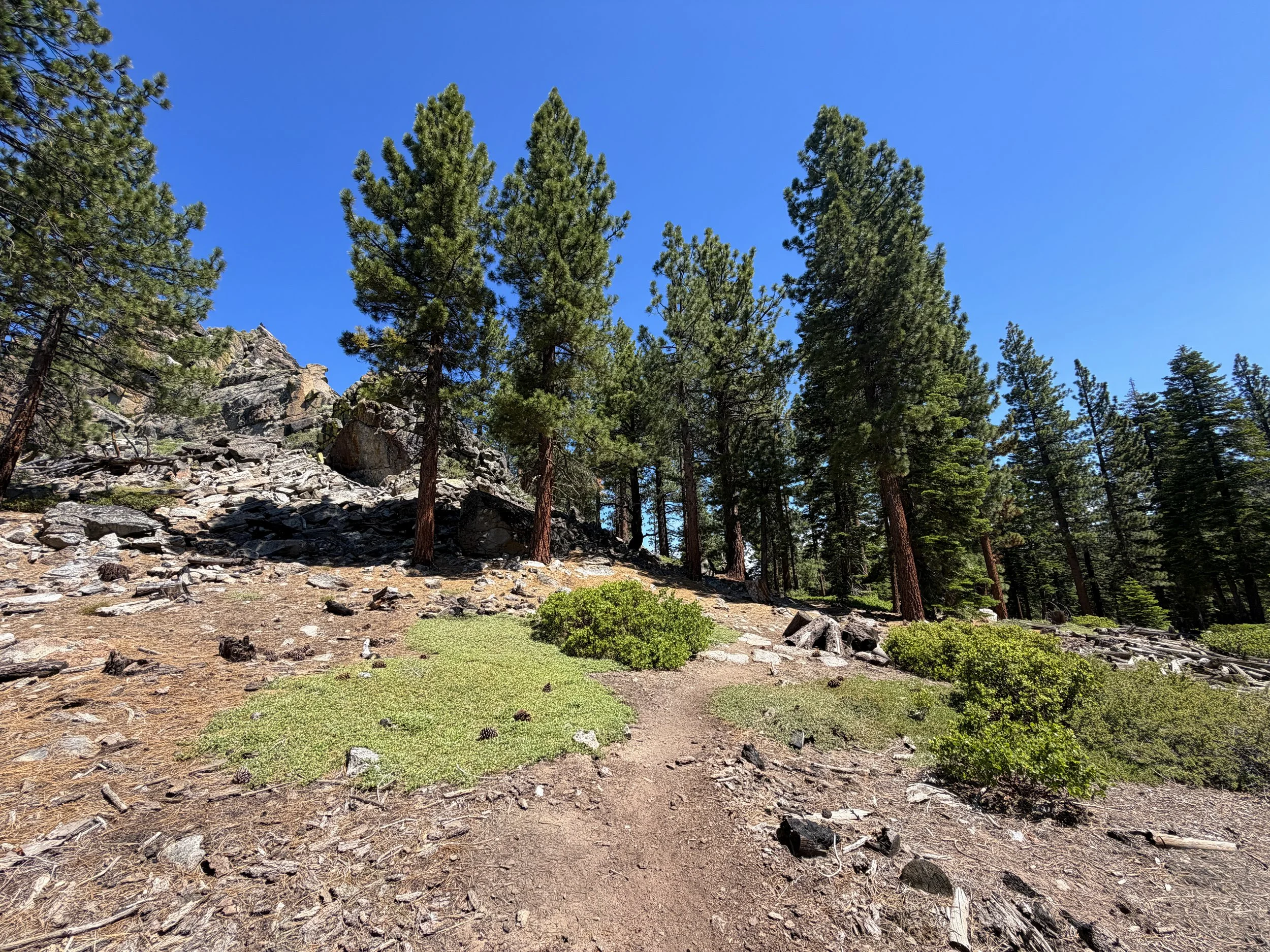 Captain Pomin Trail Lake Tahoe Nevada