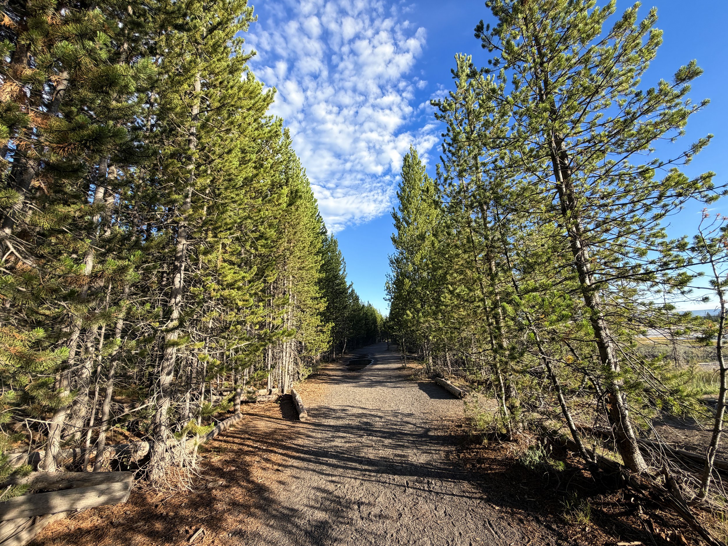 Fairy Falls Trail Yellowstone National Park Wyoming