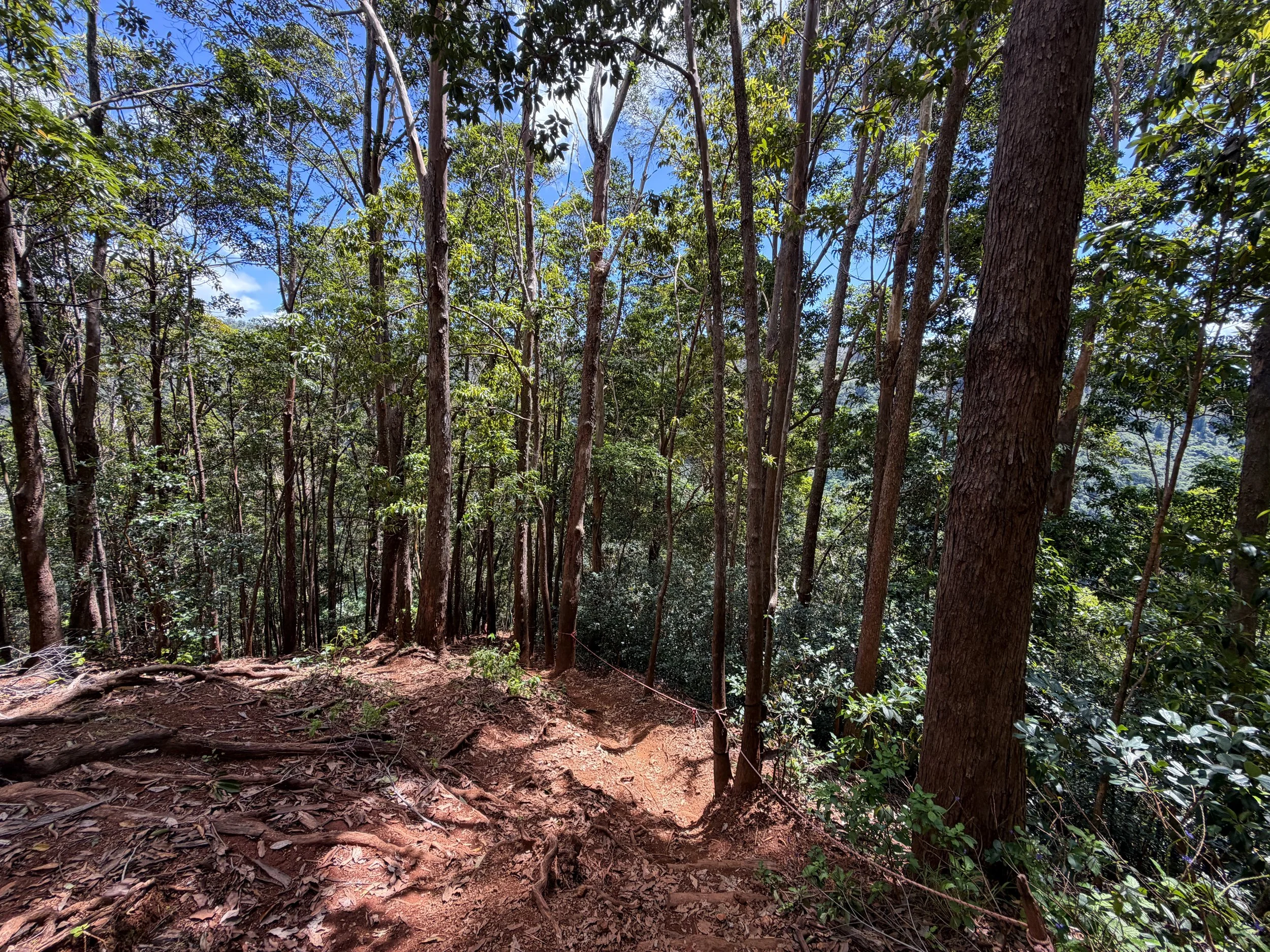 Waimano Falls Trail Oahu Hawaii