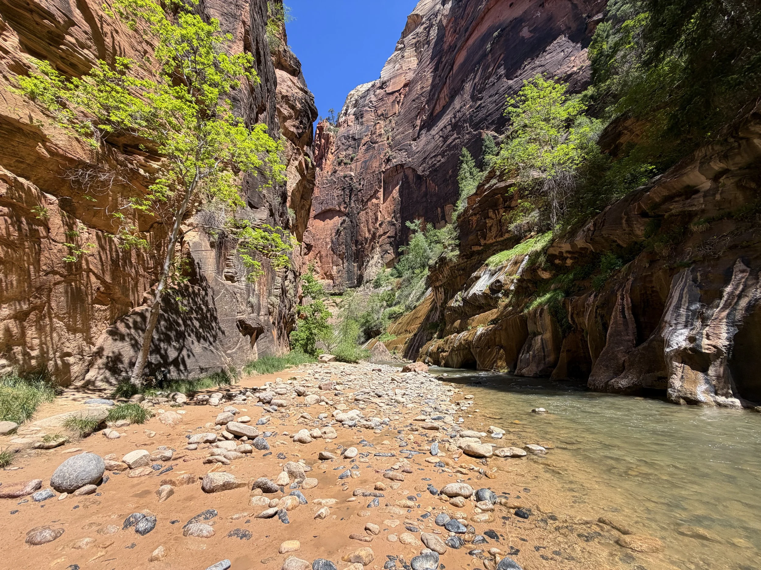 Narrows Hike Zion National Park Utah